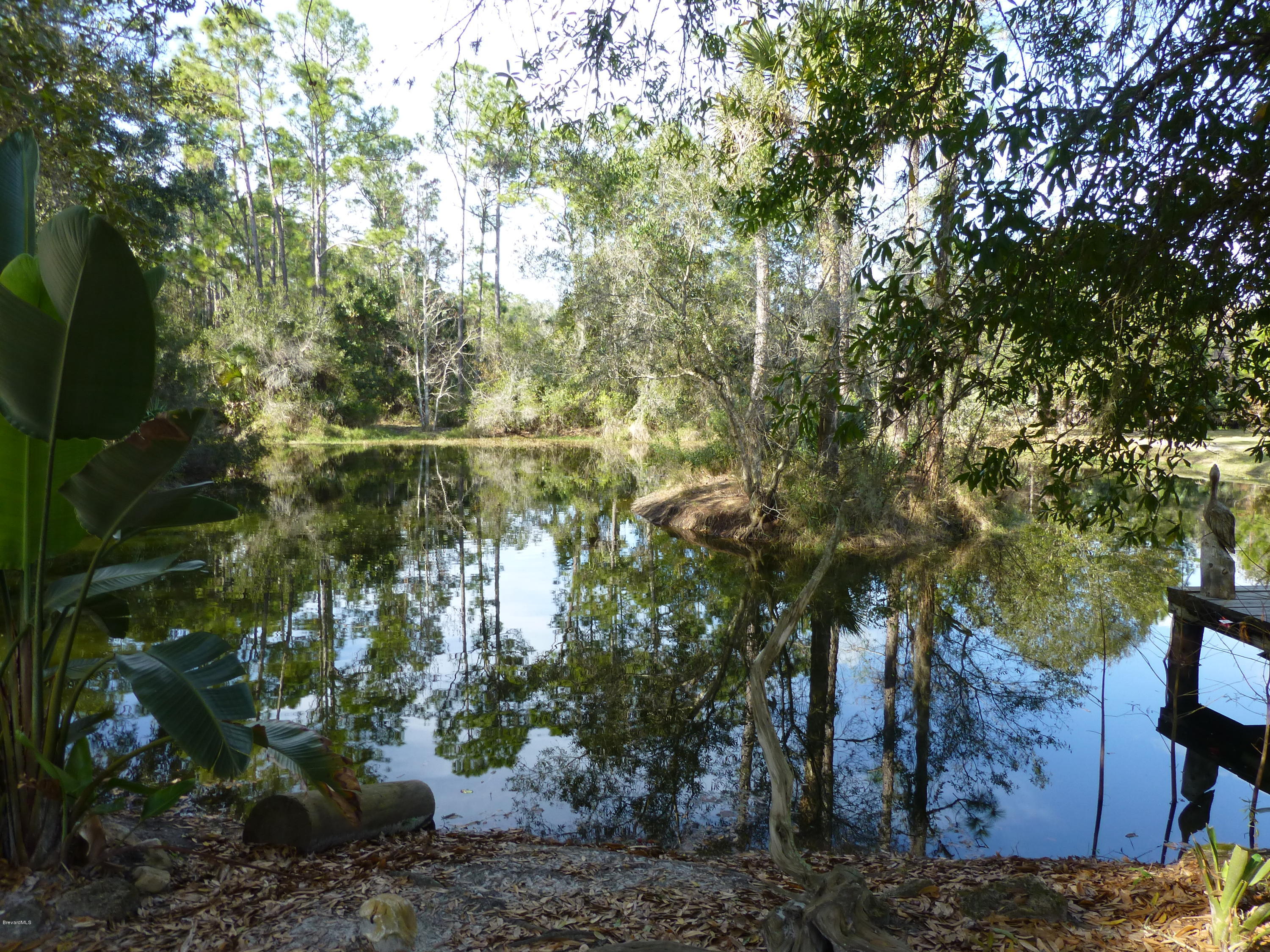 1000 Gopher Slough Road Mims, FL 32754 - Photo 2 of 66 P1010302