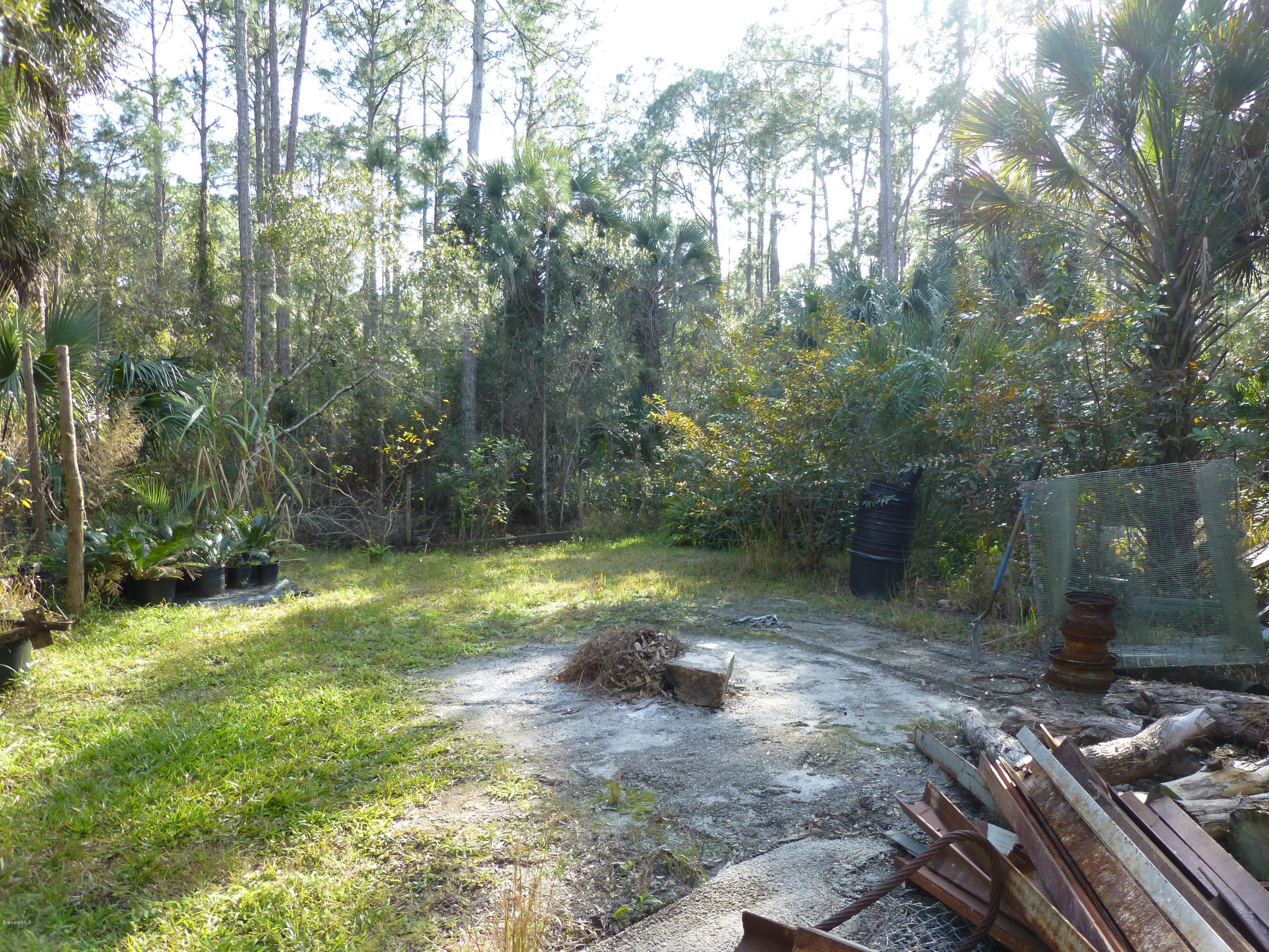 1000 Gopher Slough Road Mims, FL 32754 - Photo 16 of 66 P1010319