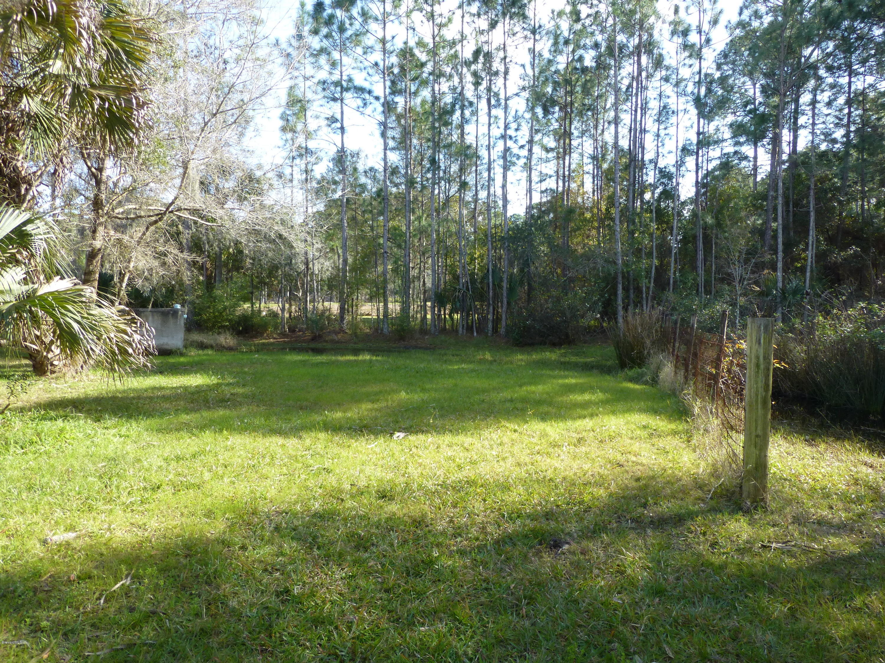 1000 Gopher Slough Road Mims, FL 32754 - Photo 19 of 66 P1010322