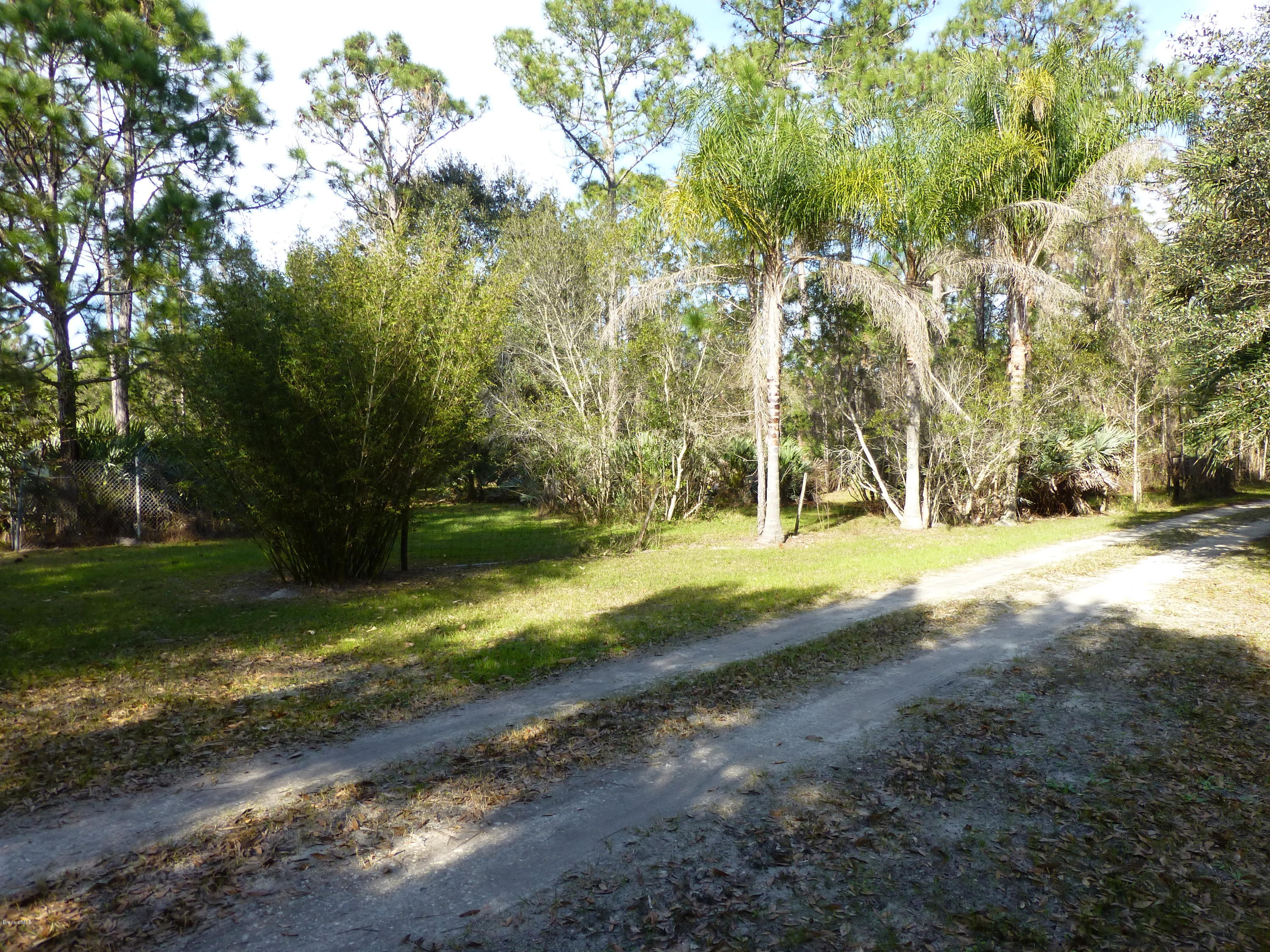 1000 Gopher Slough Road Mims, FL 32754 - Photo 20 of 66 P1010327