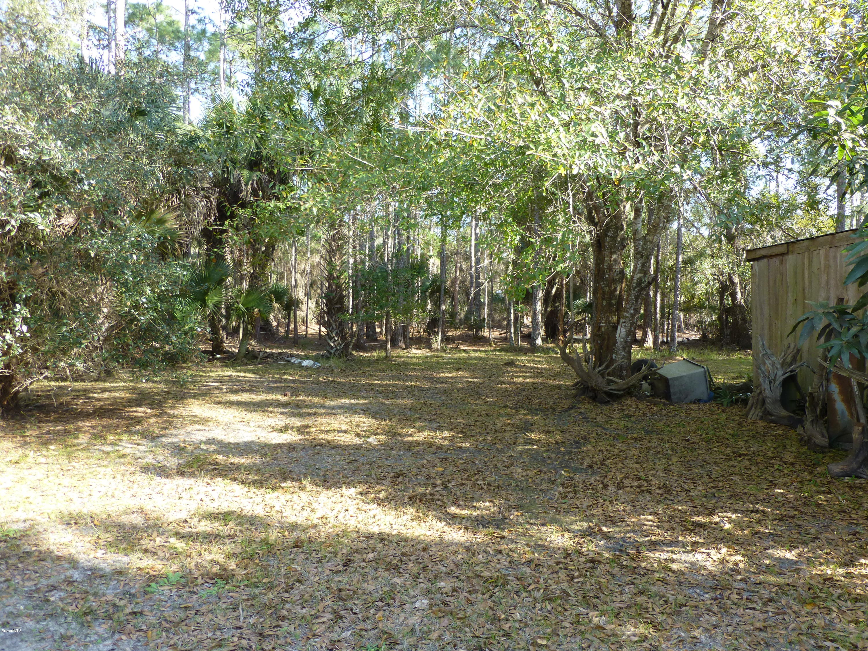 1000 Gopher Slough Road Mims, FL 32754 - Photo 21 of 66 P1010328