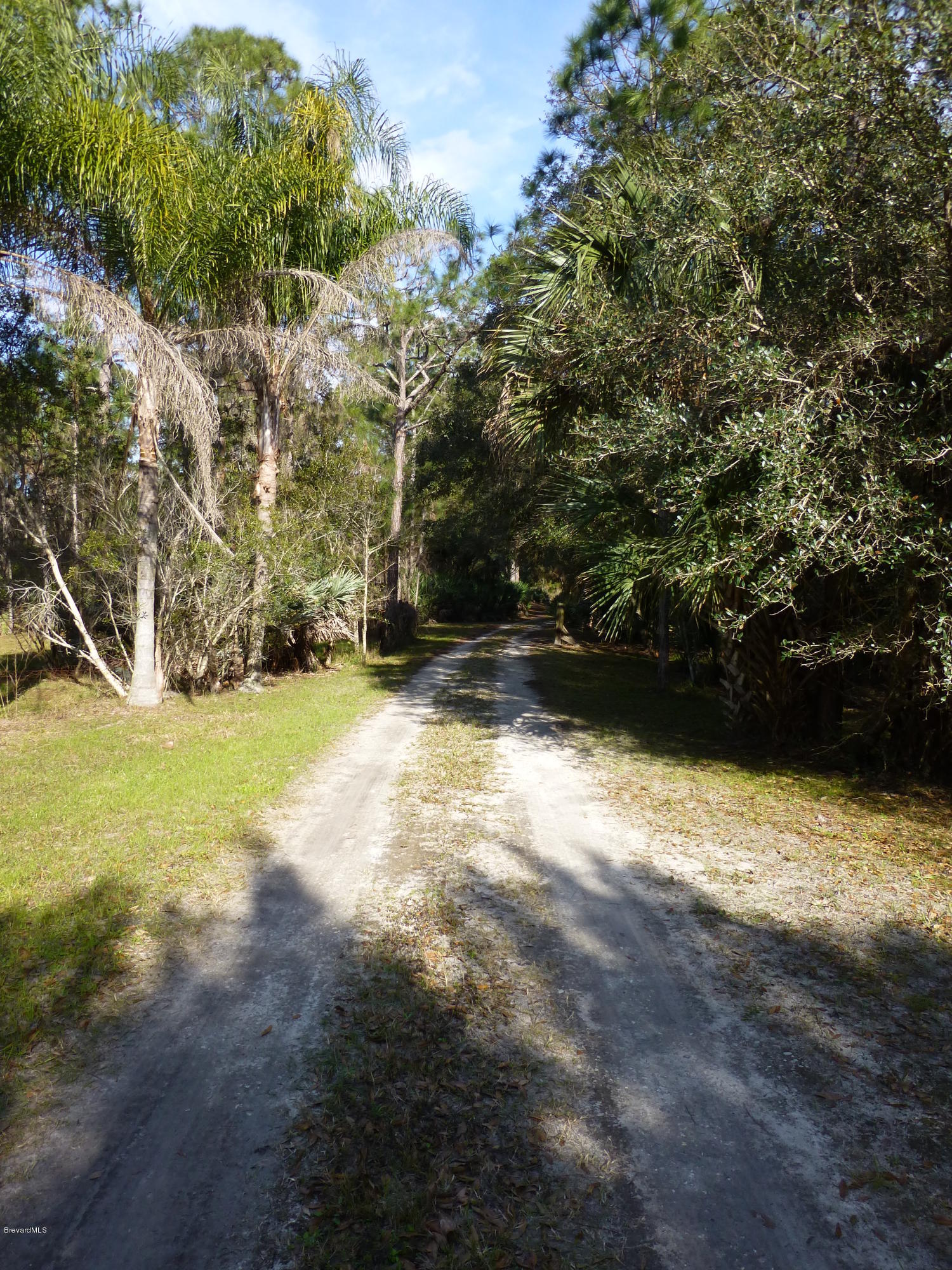 1000 Gopher Slough Road Mims, FL 32754 - Photo 22 of 66 P1010329