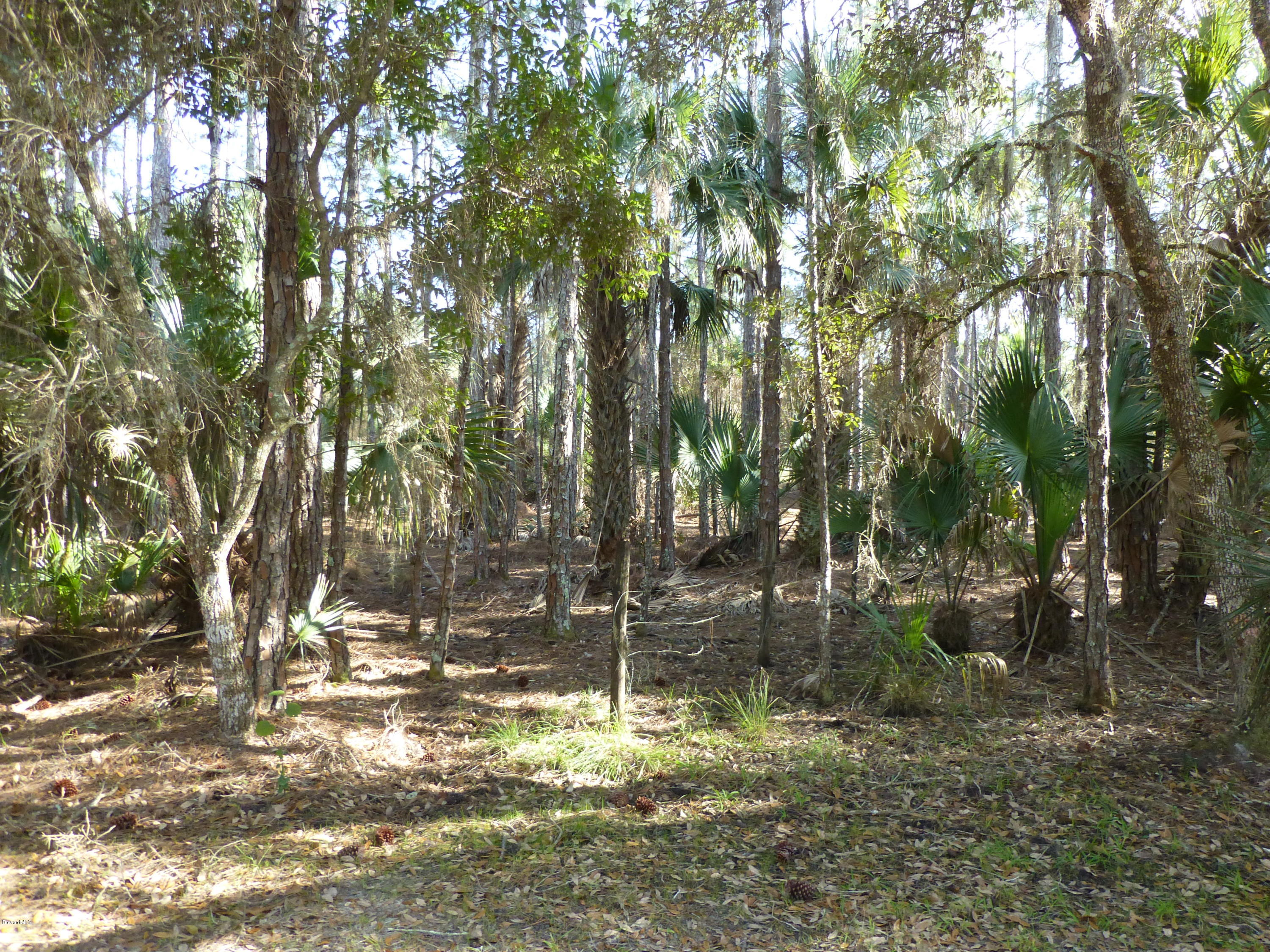 1000 Gopher Slough Road Mims, FL 32754 - Photo 23 of 66 P1010330