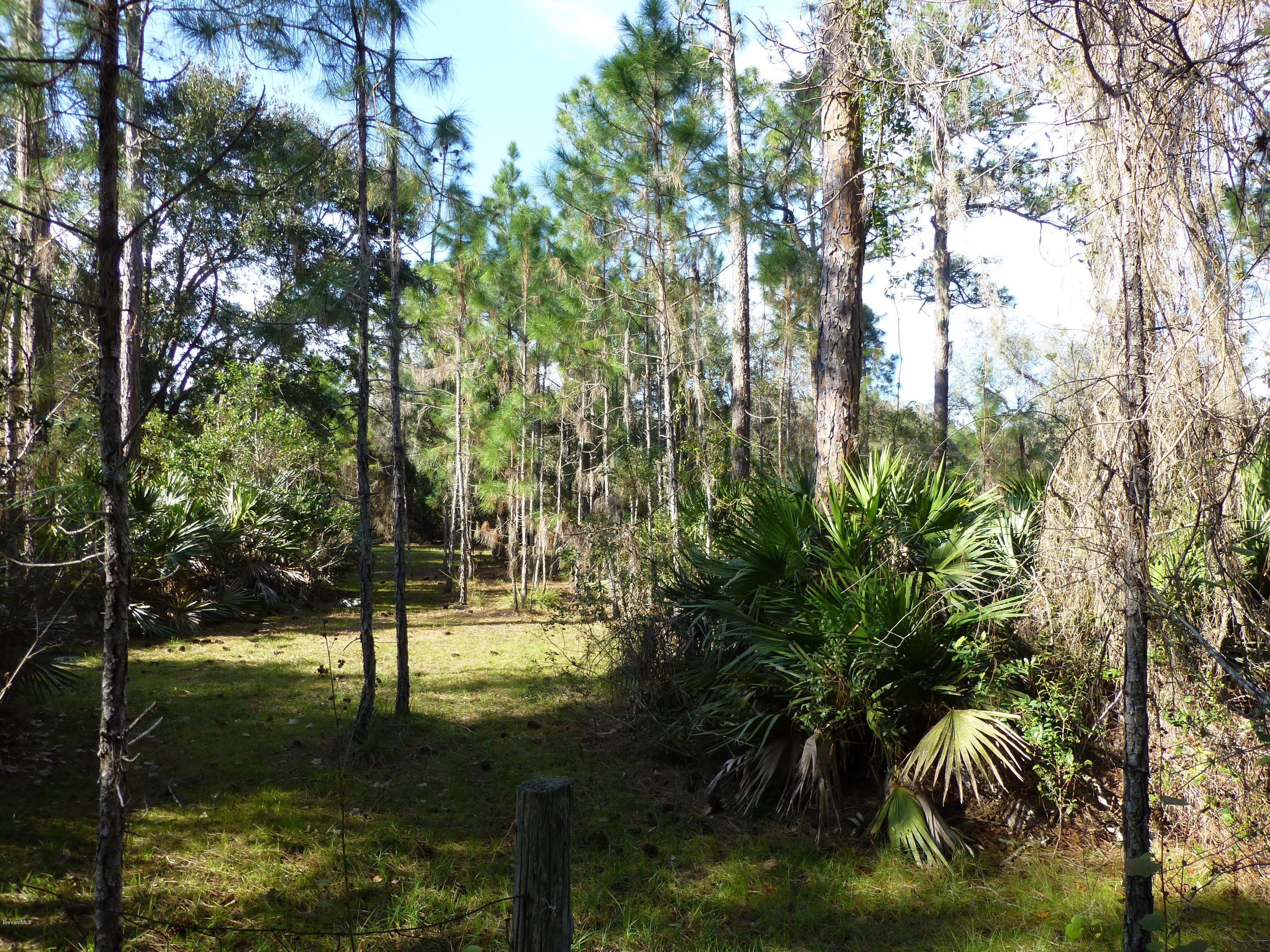 1000 Gopher Slough Road Mims, FL 32754 - Photo 24 of 66 P1010331