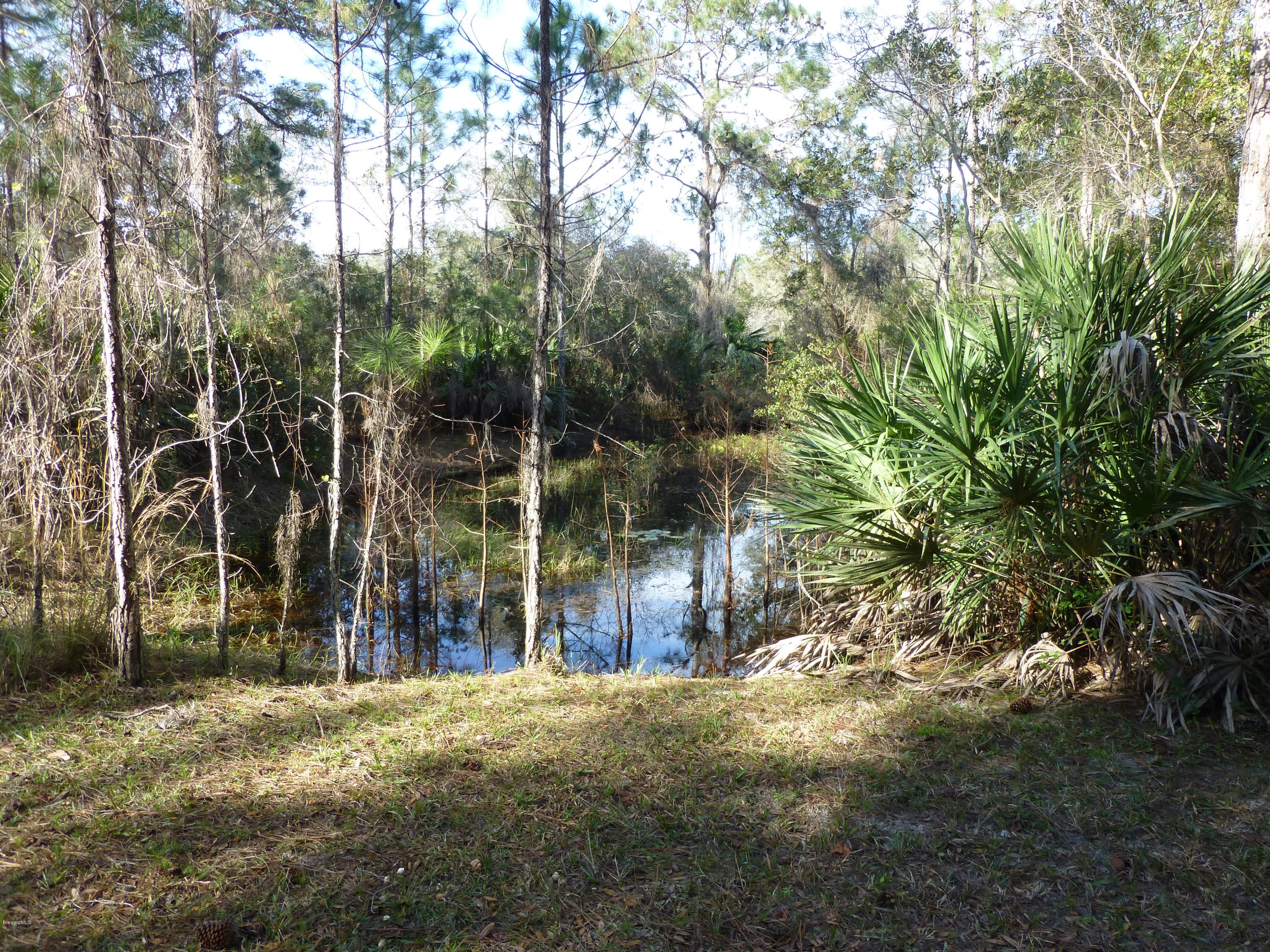 1000 Gopher Slough Road Mims, FL 32754 - Photo 25 of 66 P1010332
