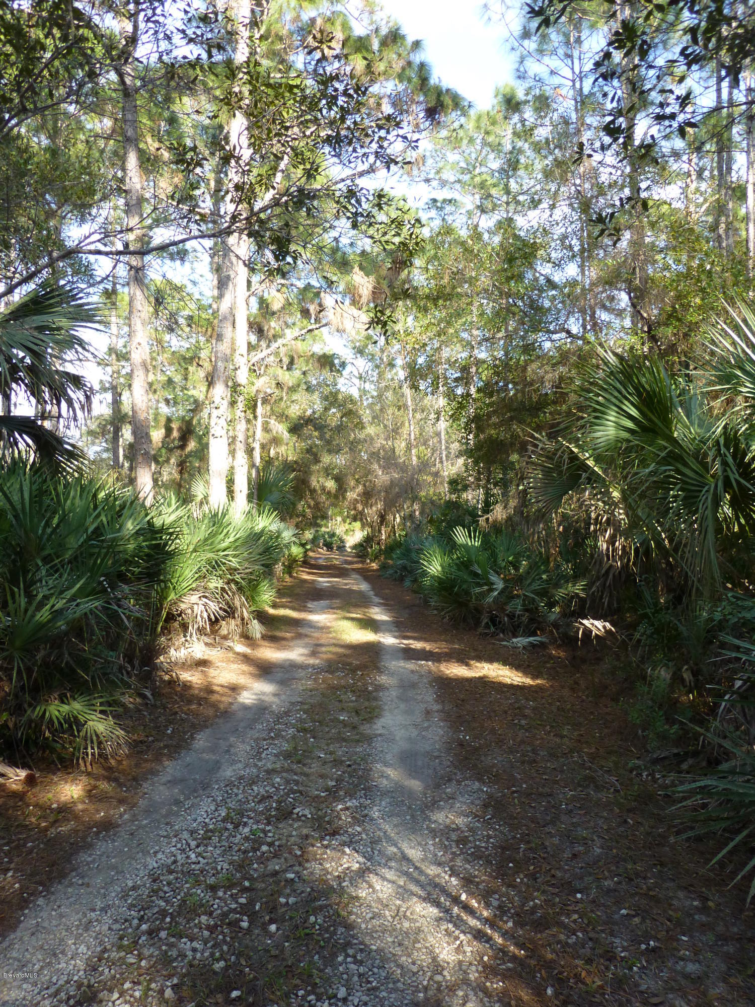 1000 Gopher Slough Road Mims, FL 32754 - Photo 26 of 66 P1010333