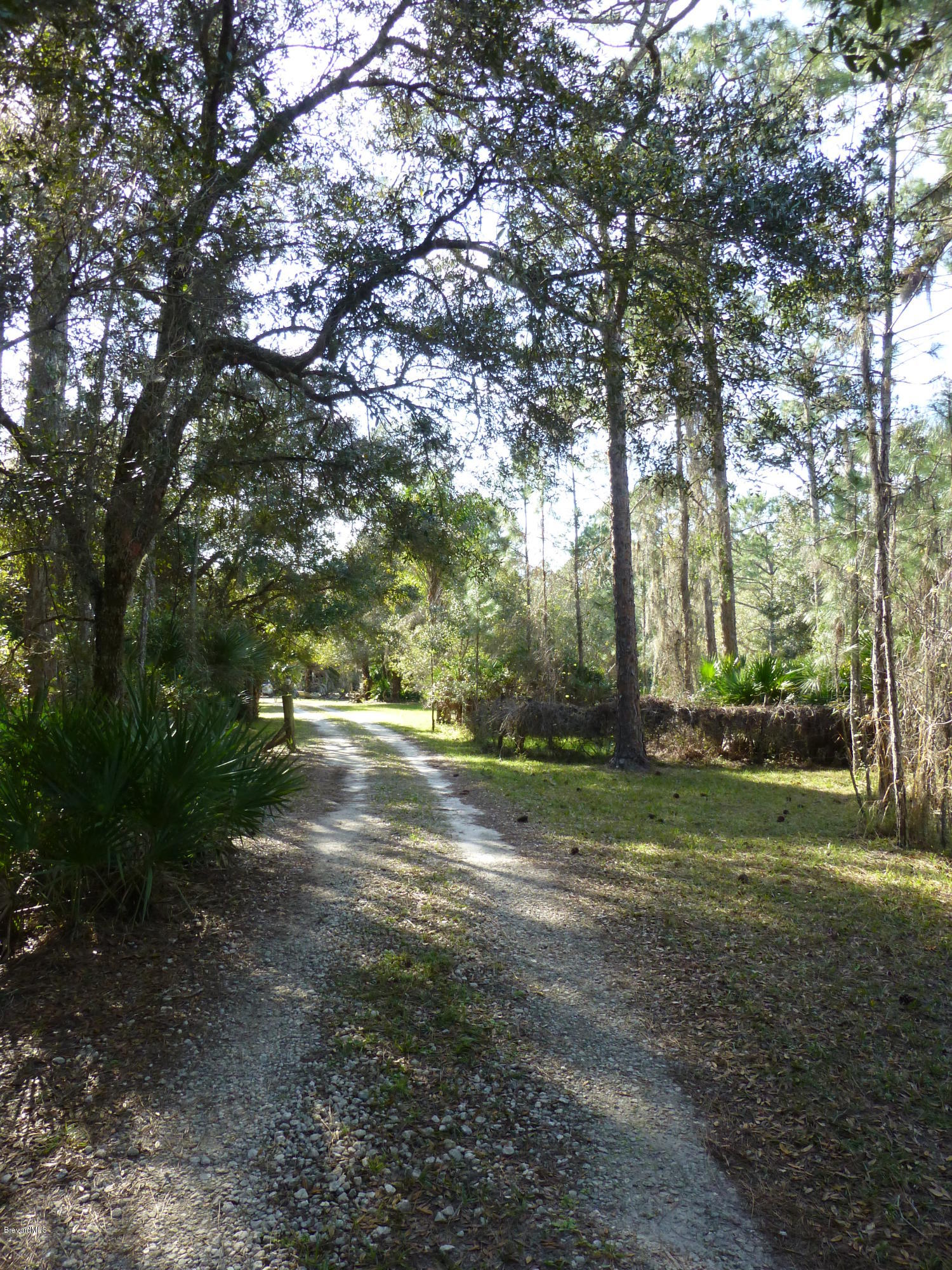 1000 Gopher Slough Road Mims, FL 32754 - Photo 27 of 66 P1010334
