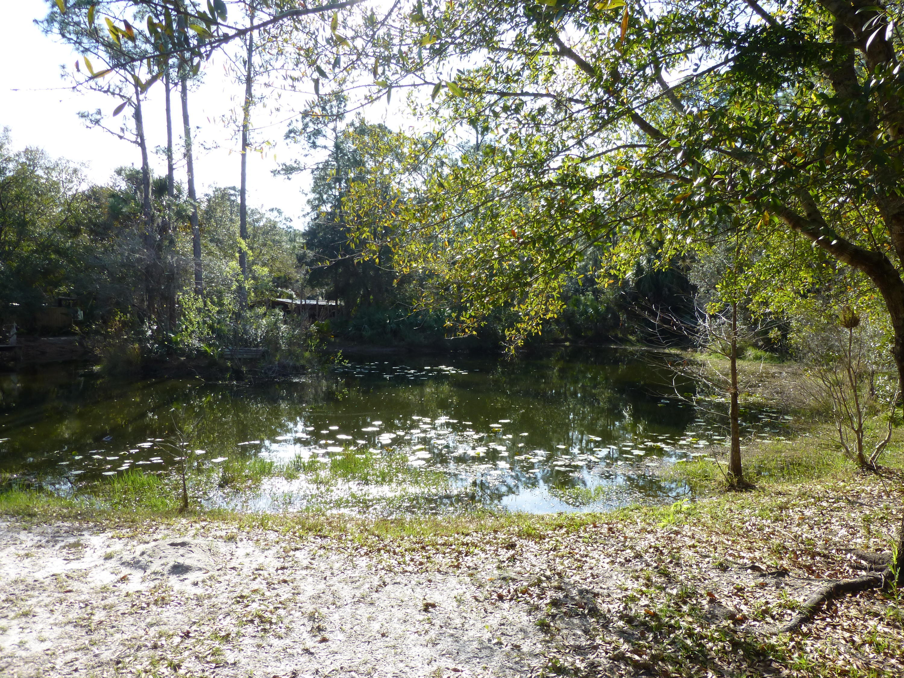 1000 Gopher Slough Road Mims, FL 32754 - Photo 29 of 66 P1010337
