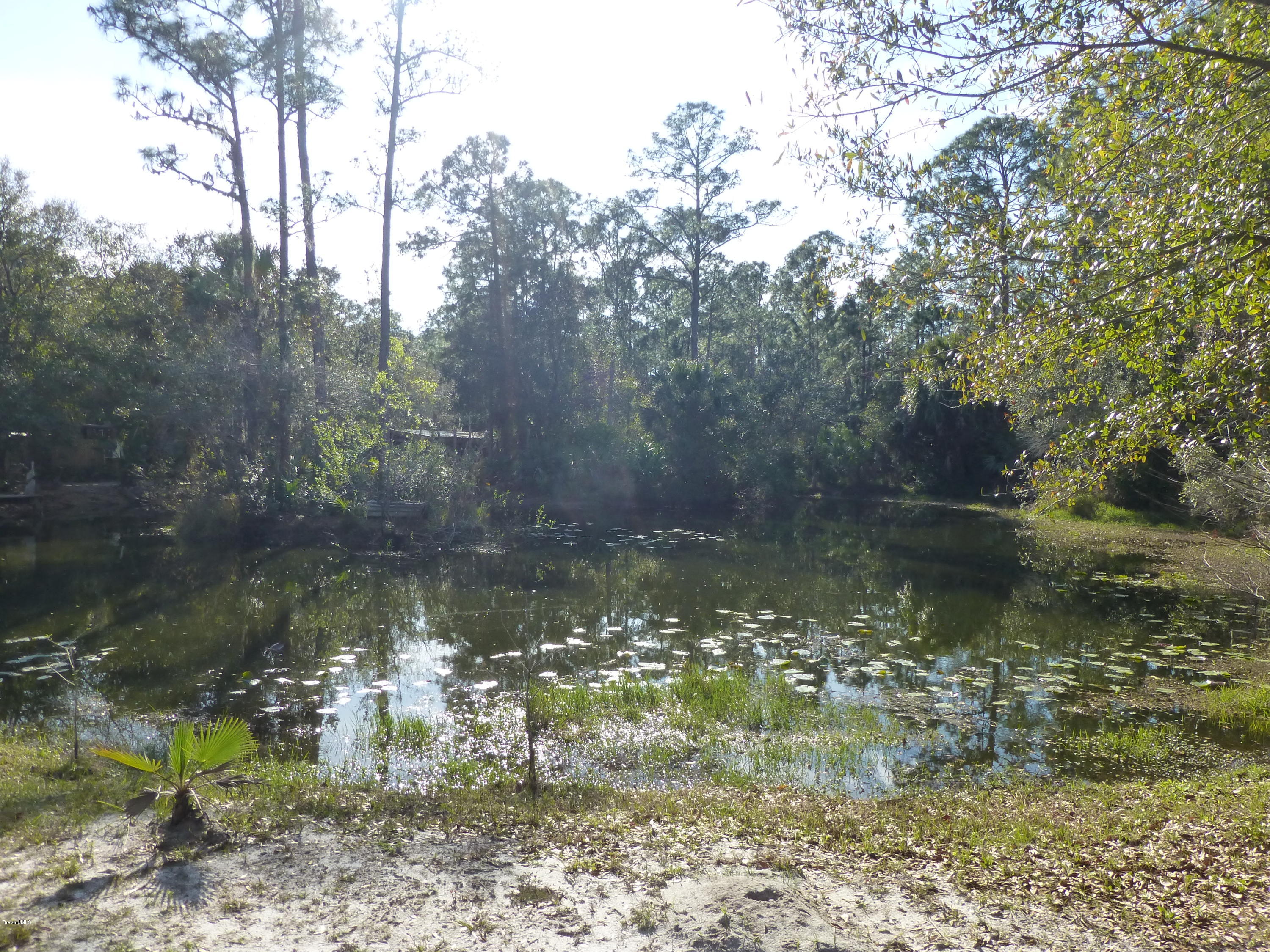 1000 Gopher Slough Road Mims, FL 32754 - Photo 30 of 66 P1010338