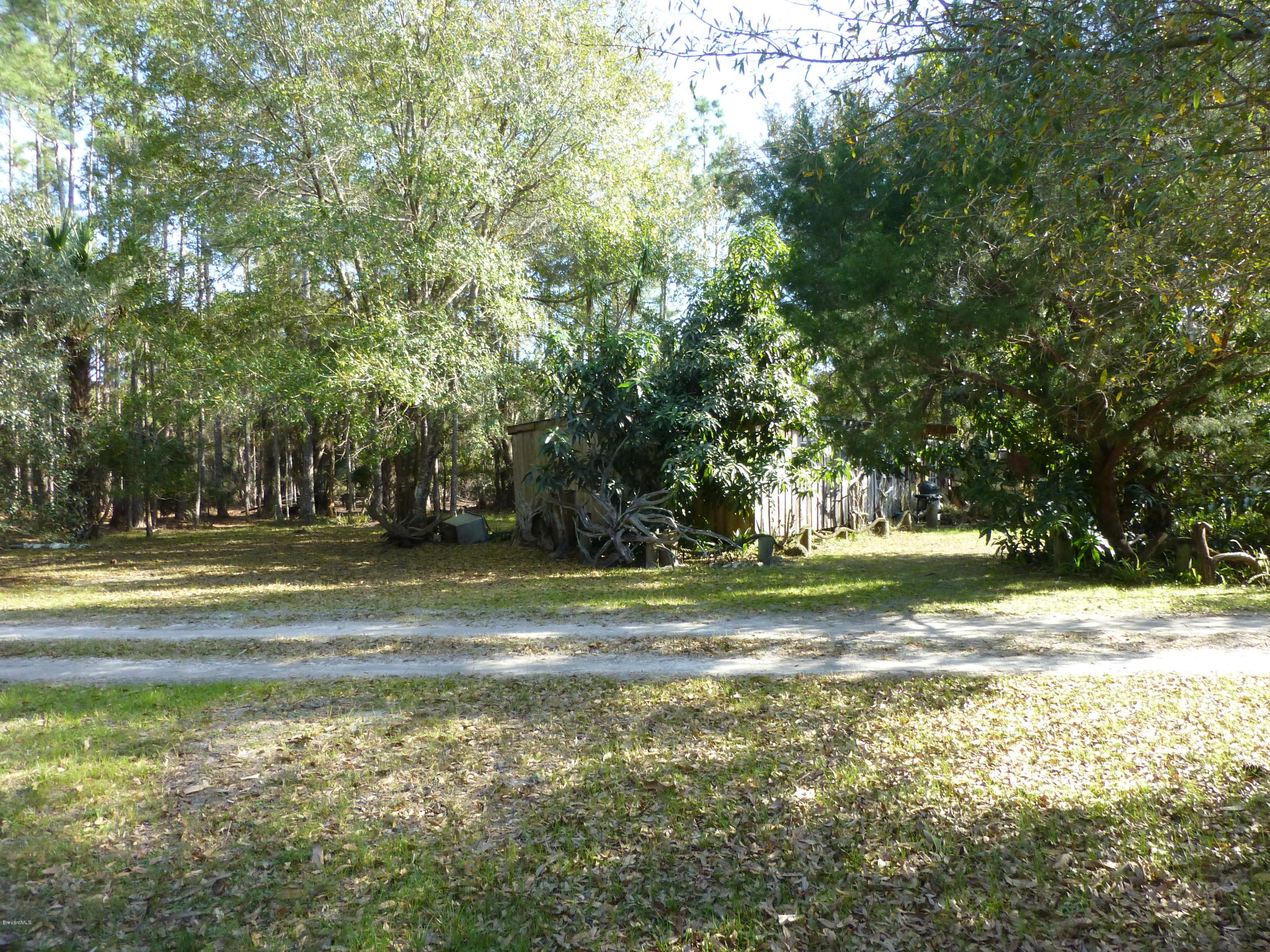 1000 Gopher Slough Road Mims, FL 32754 - Photo 33 of 66 P1010345