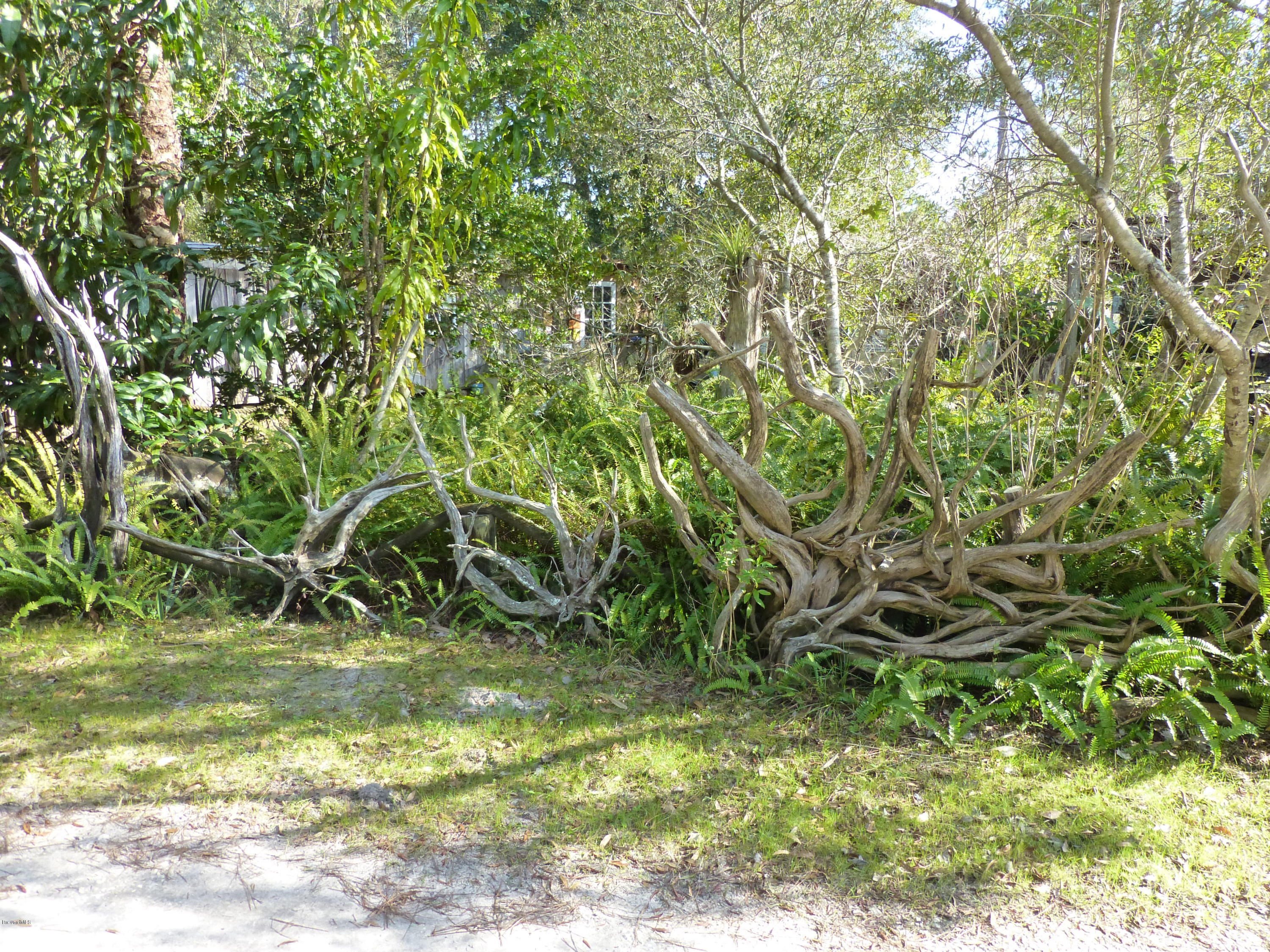 1000 Gopher Slough Road Mims, FL 32754 - Photo 34 of 66 P1010346