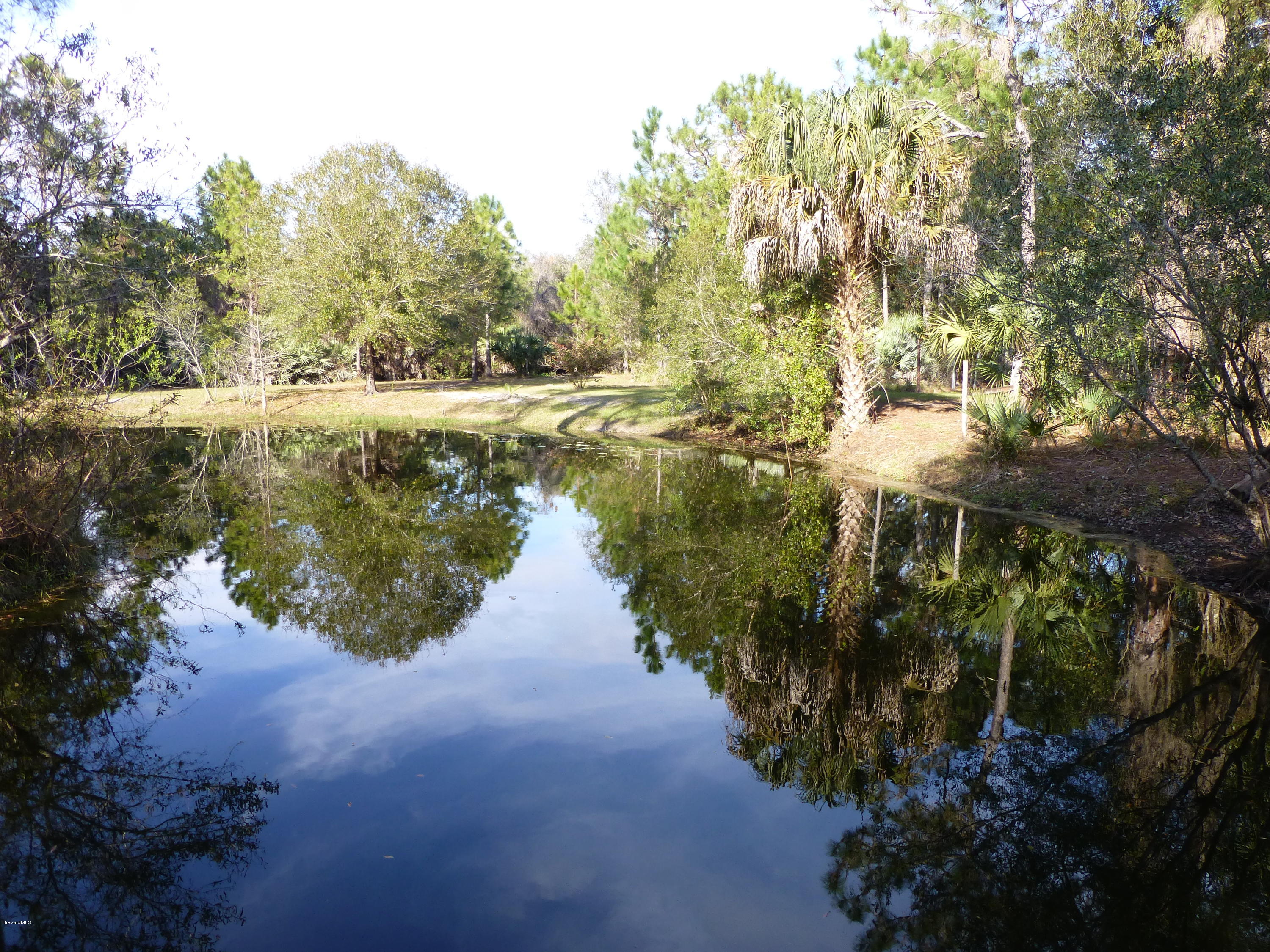 1000 Gopher Slough Road Mims, FL 32754 - Photo 37 of 66 P1010348