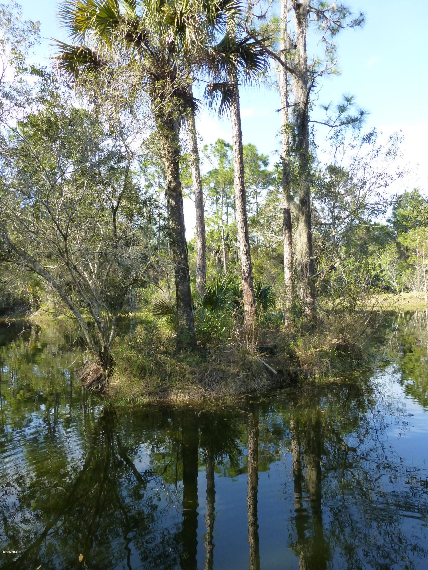 1000 Gopher Slough Road Mims, FL 32754 - Photo 39 of 66 P1010355