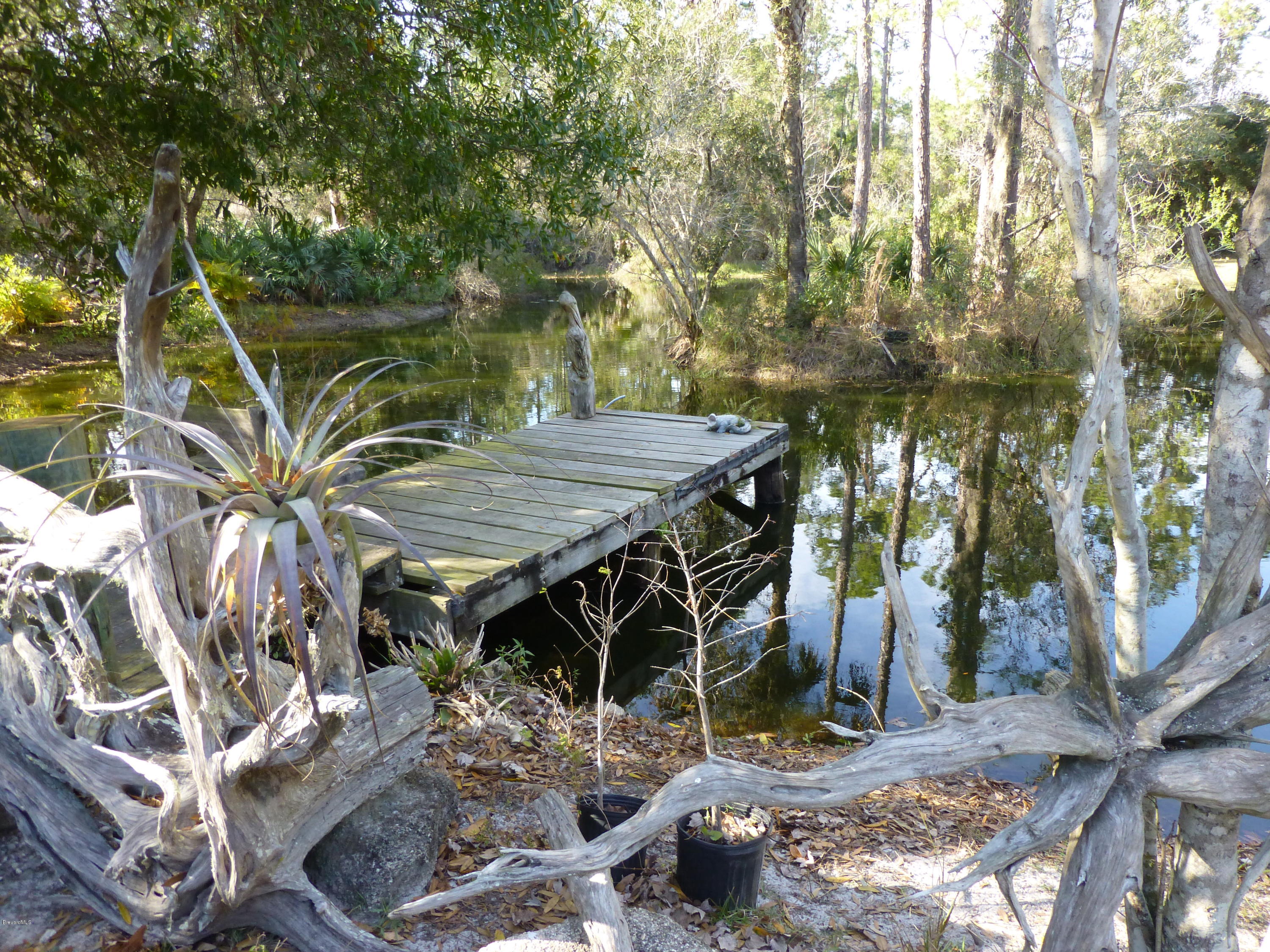 1000 Gopher Slough Road Mims, FL 32754 - Photo 40 of 66 P1010357