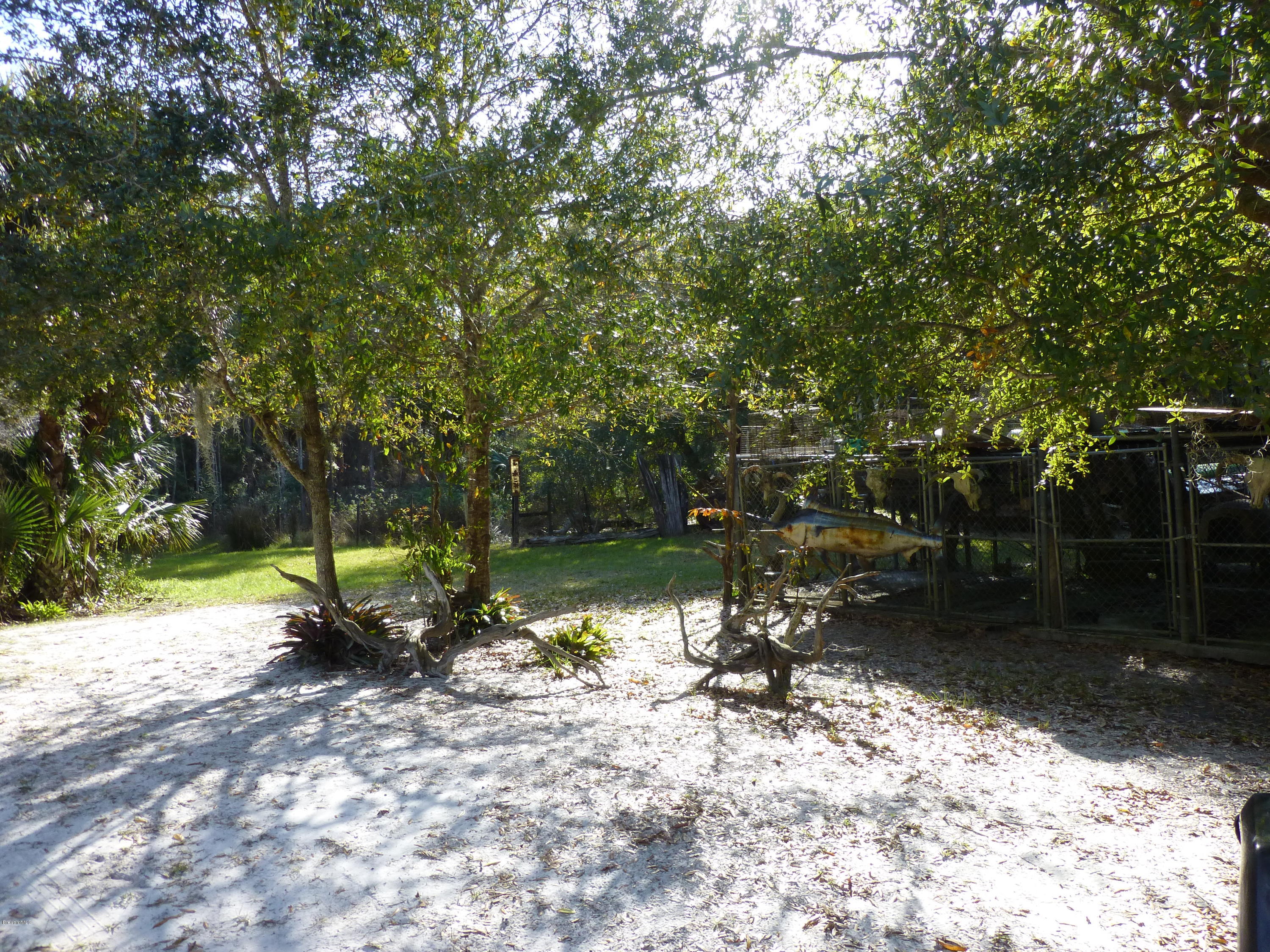 1000 Gopher Slough Road Mims, FL 32754 - Photo 41 of 66 P1010360