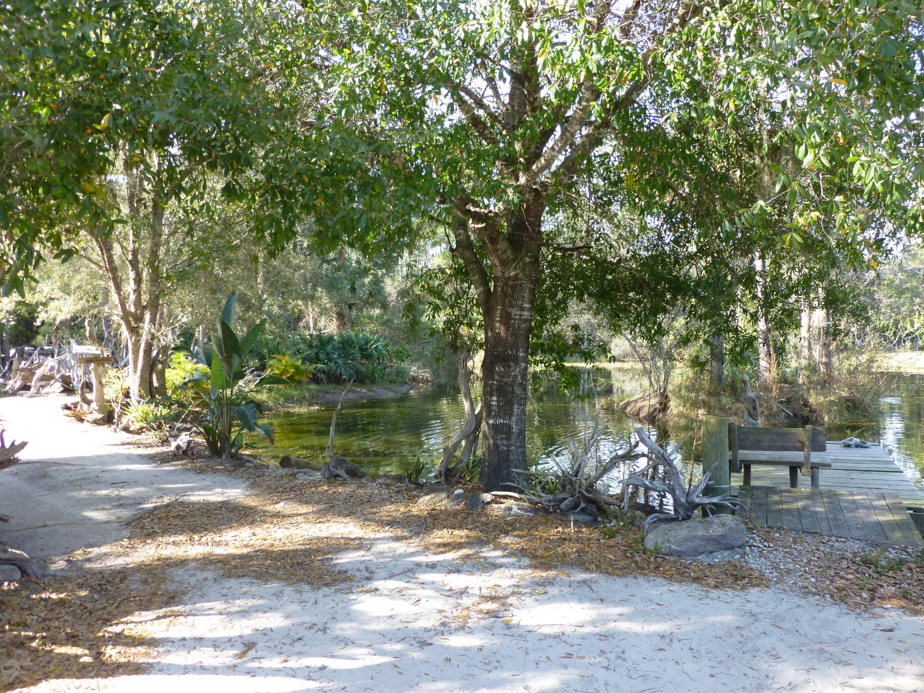 1000 Gopher Slough Road Mims, FL 32754 - Photo 42 of 66 P1010364