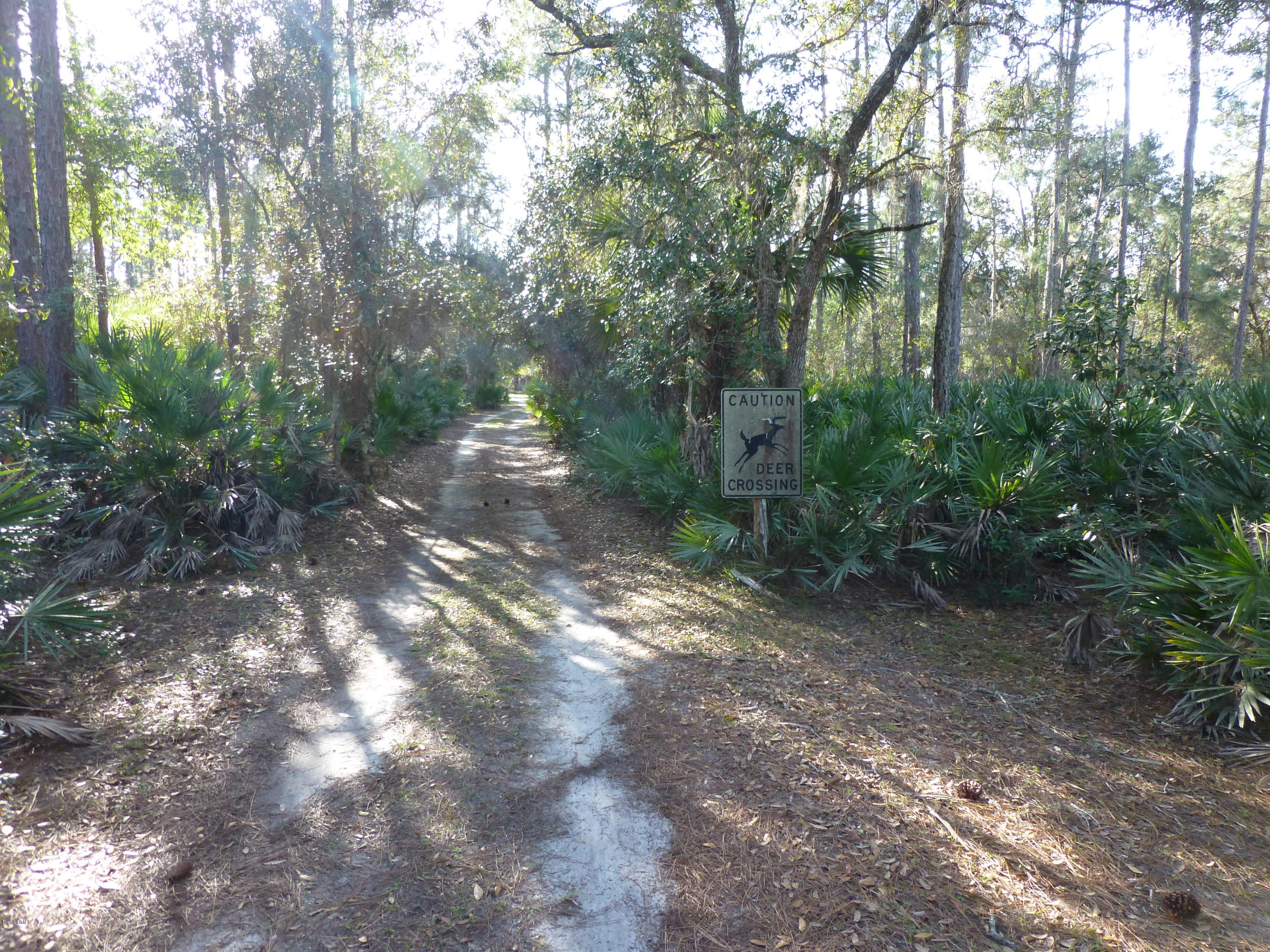 1000 Gopher Slough Road Mims, FL 32754 - Photo 46 of 66 P1010373
