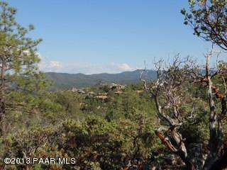 2194 Forest Mountain Road Prescott, AZ 86303 - Photo 8 of 12 Other View