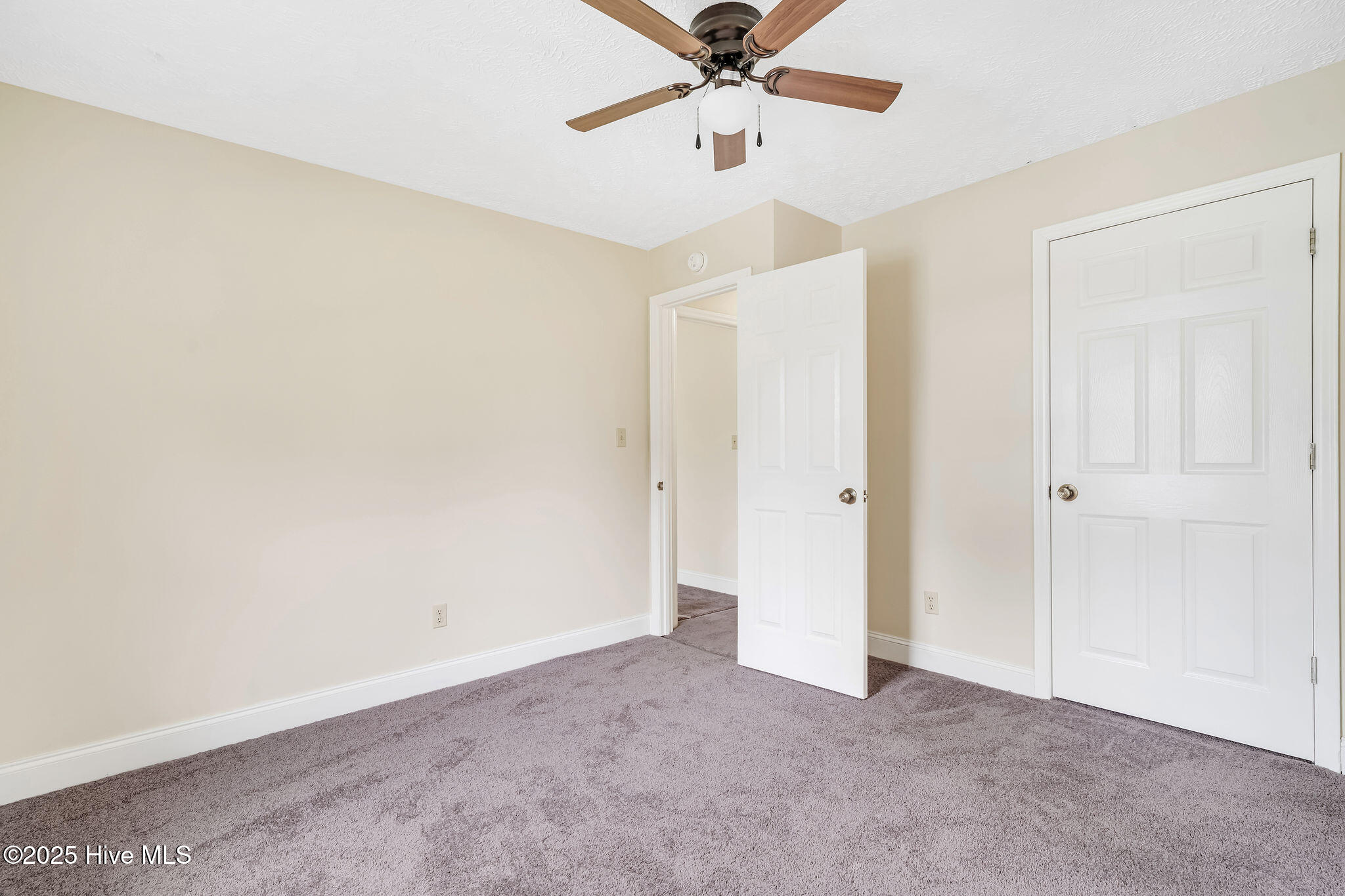 293 Willie Hatcher Road Chinquapin, NC 28521 - Photo 19 of 27 293williehatcher20
