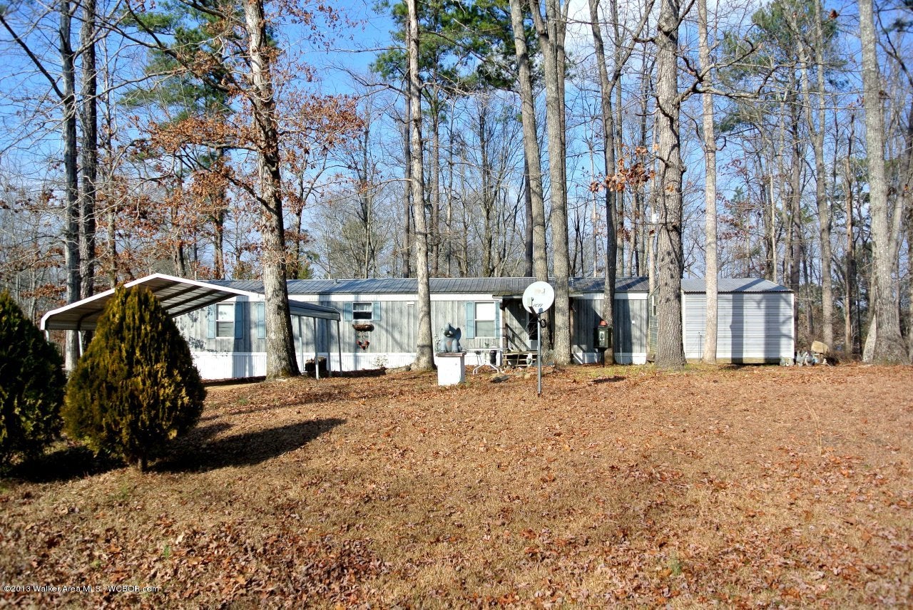 194 Lake Ridge Lane Jasper, AL 35504 - Photo 2 of 6 Gallery Image 2