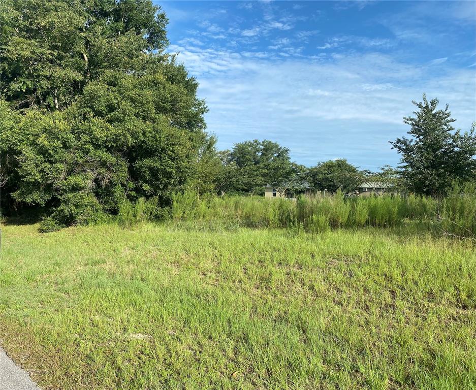 Tbd Southwest Tbd Sw 60th Ct Road Ocala, FL 34473 - Photo 1 of 1
