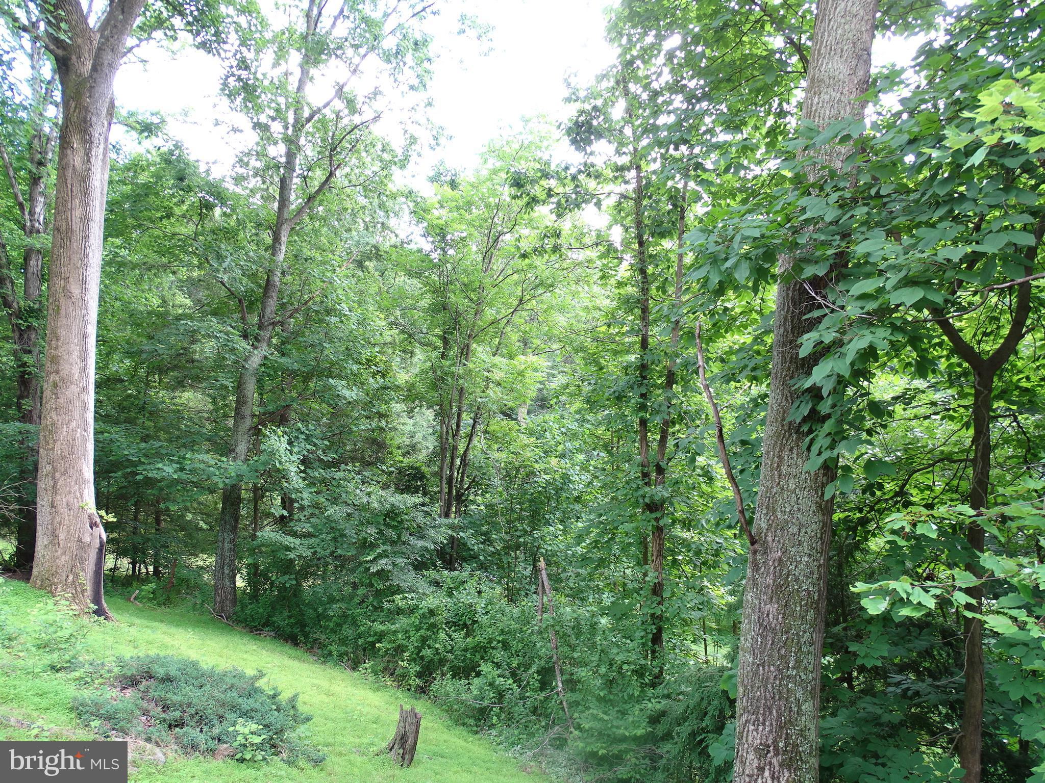 5920 Lewisberry Road Dover, PA 17315 - Photo 12 of 42