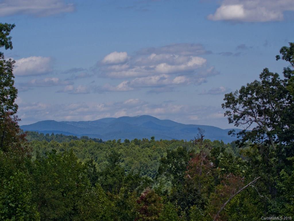 129 Monarch Road, Unit 14 Hendersonville, NC 28739 - Photo 7 of 14 Gallery Image 7