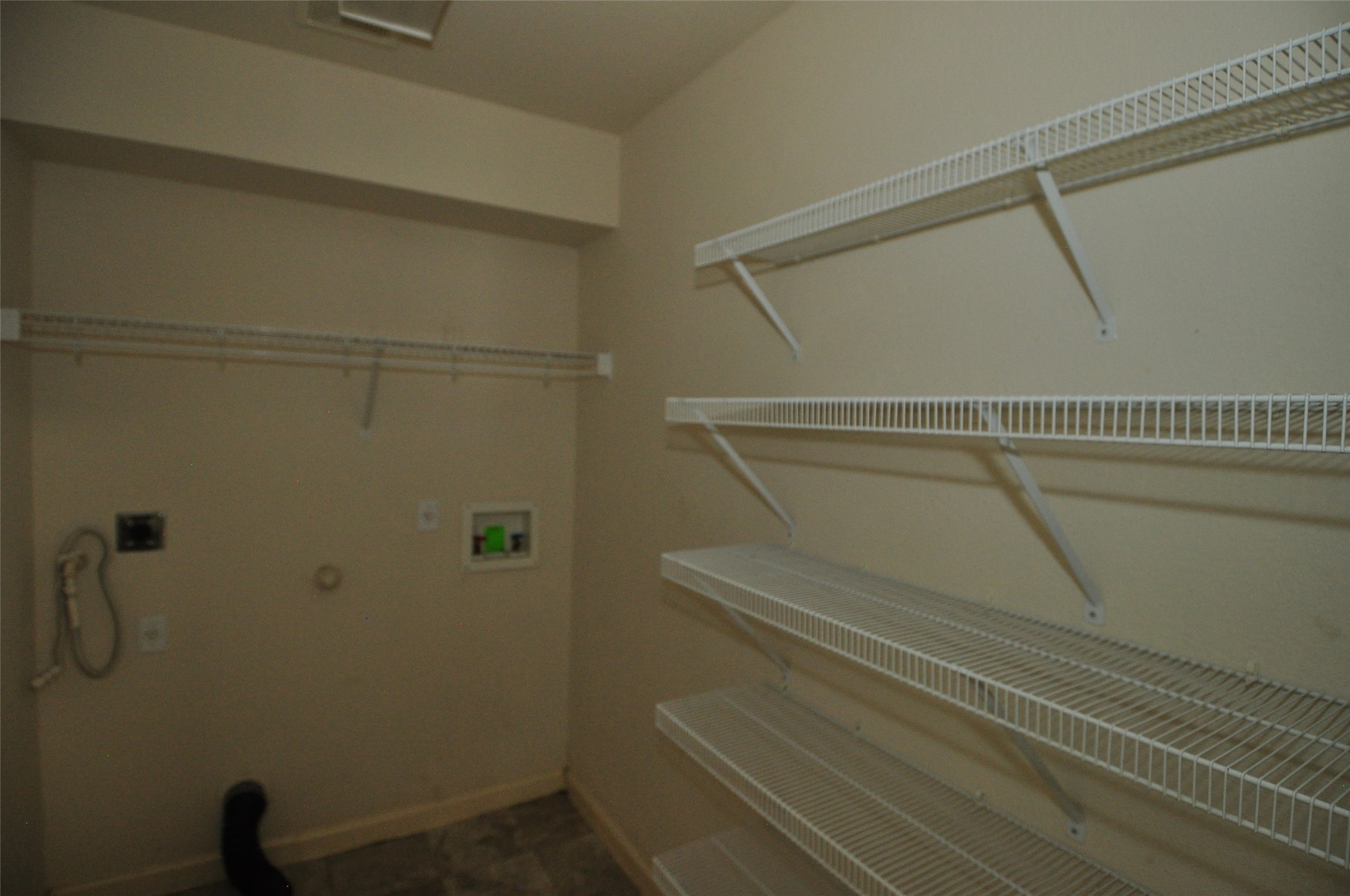 1409 Tea Leaf Drive Pflugerville, TX 78660 - Photo 8 of 18 Ample shelving in this well-organized laundry area ensures efficient storage solutions.