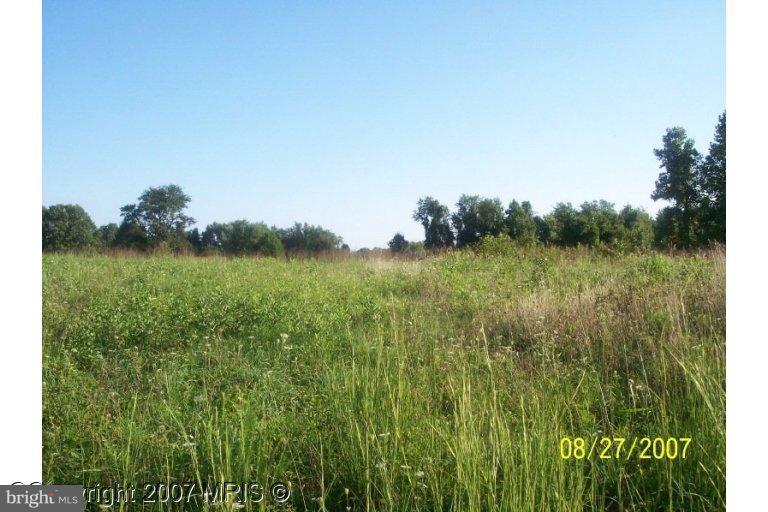 1319 Stockton Road Joppa, MD 21085 - Photo 3 of 6 Wooded View / Acreage 2