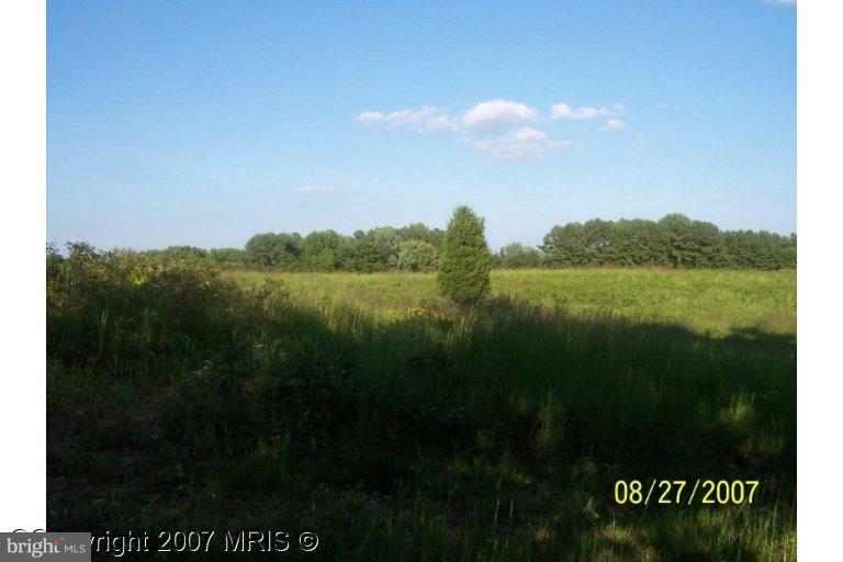1319 Stockton Road Joppa, MD 21085 - Photo 4 of 6 Wooded View / Acreage 3