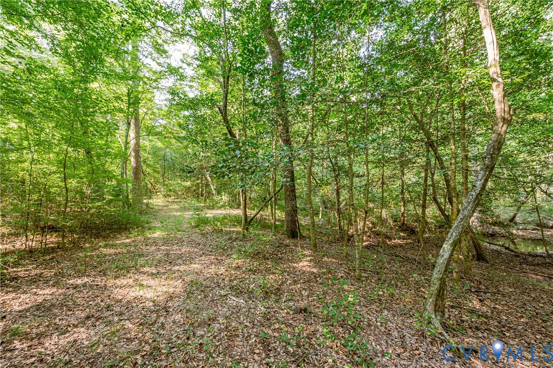 0 Barnetts Road Providence Forge, VA 23140 - Photo 7 of 37 Wooded property featuring mature trees and natural