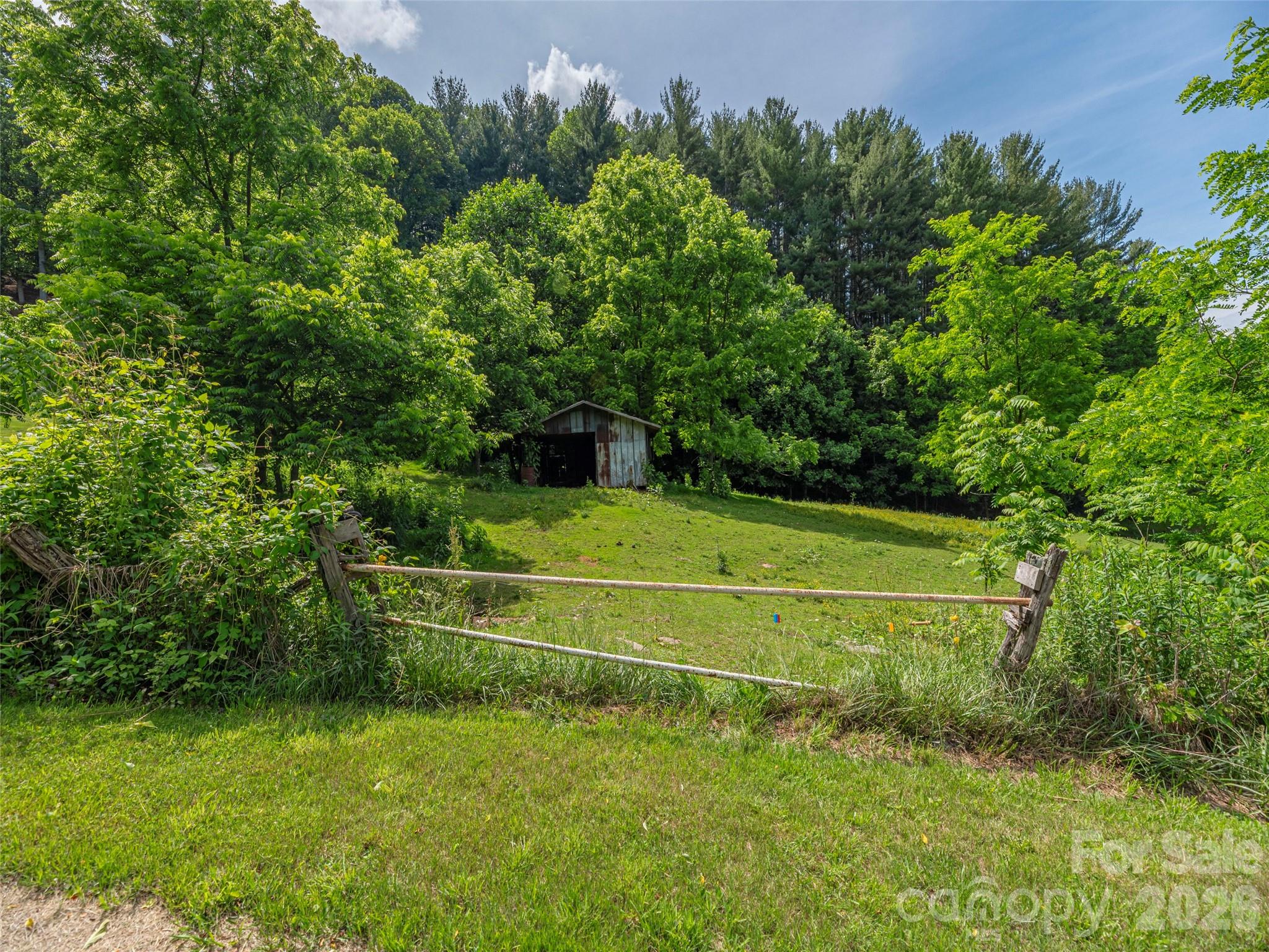 5622 Dutch Cove Road Canton, NC 28716 - Photo 5 of 26