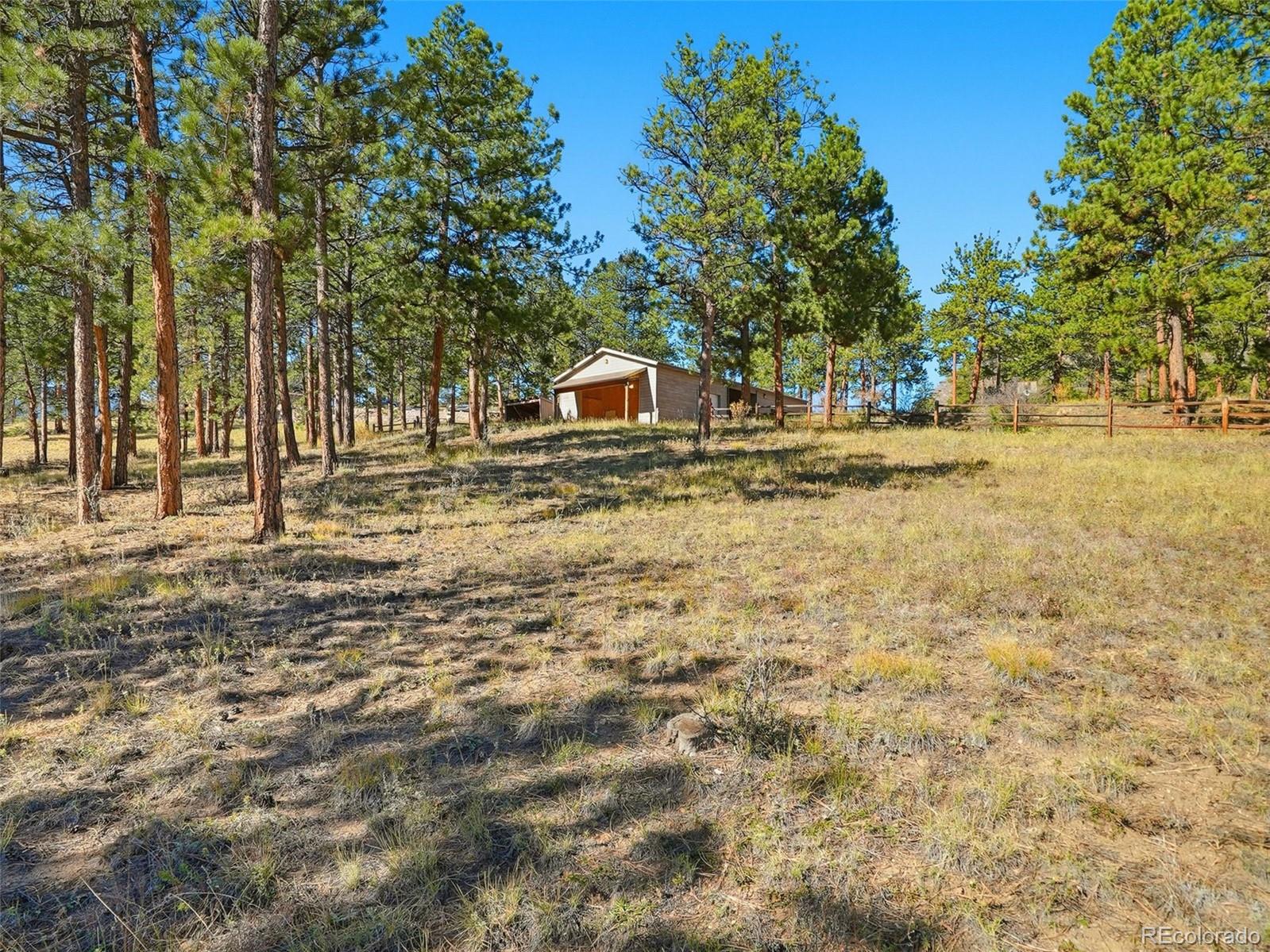 725 Buddy Road Bailey, CO 80421 - Photo 42 of 48