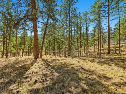 a view of trees and covered with green space