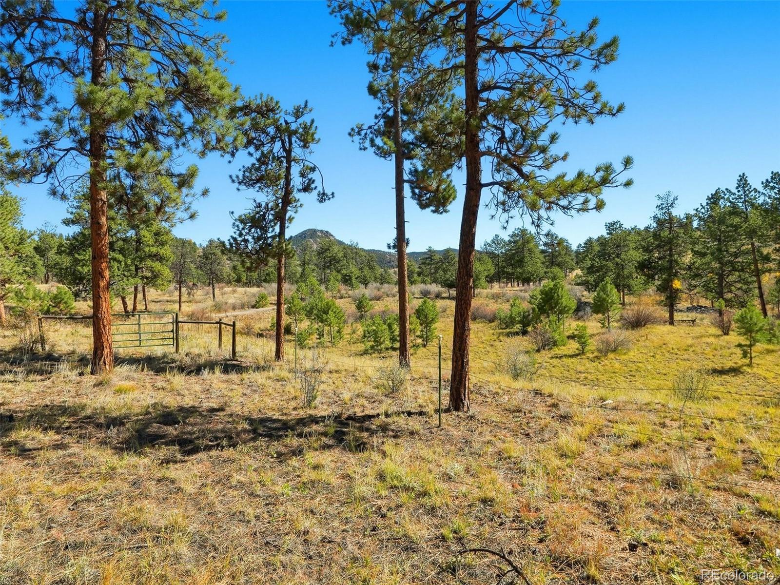 725 Buddy Road Bailey, CO 80421 - Photo 45 of 48