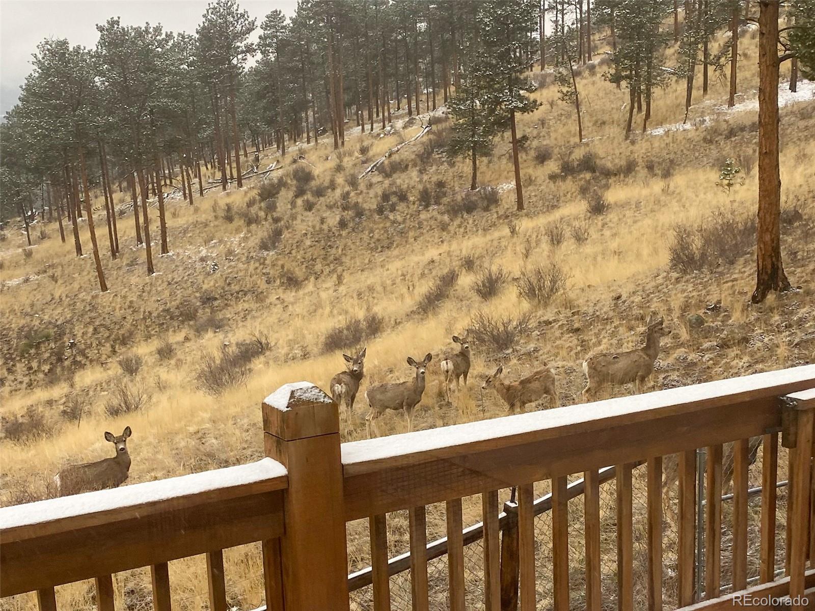 725 Buddy Road Bailey, CO 80421 - Photo 48 of 48