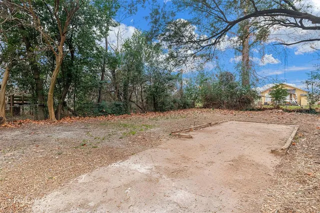 a view of a yard with trees