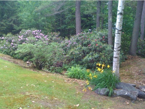389 White Oak Road Barnstead, NH 03225 - Photo 20 of 26