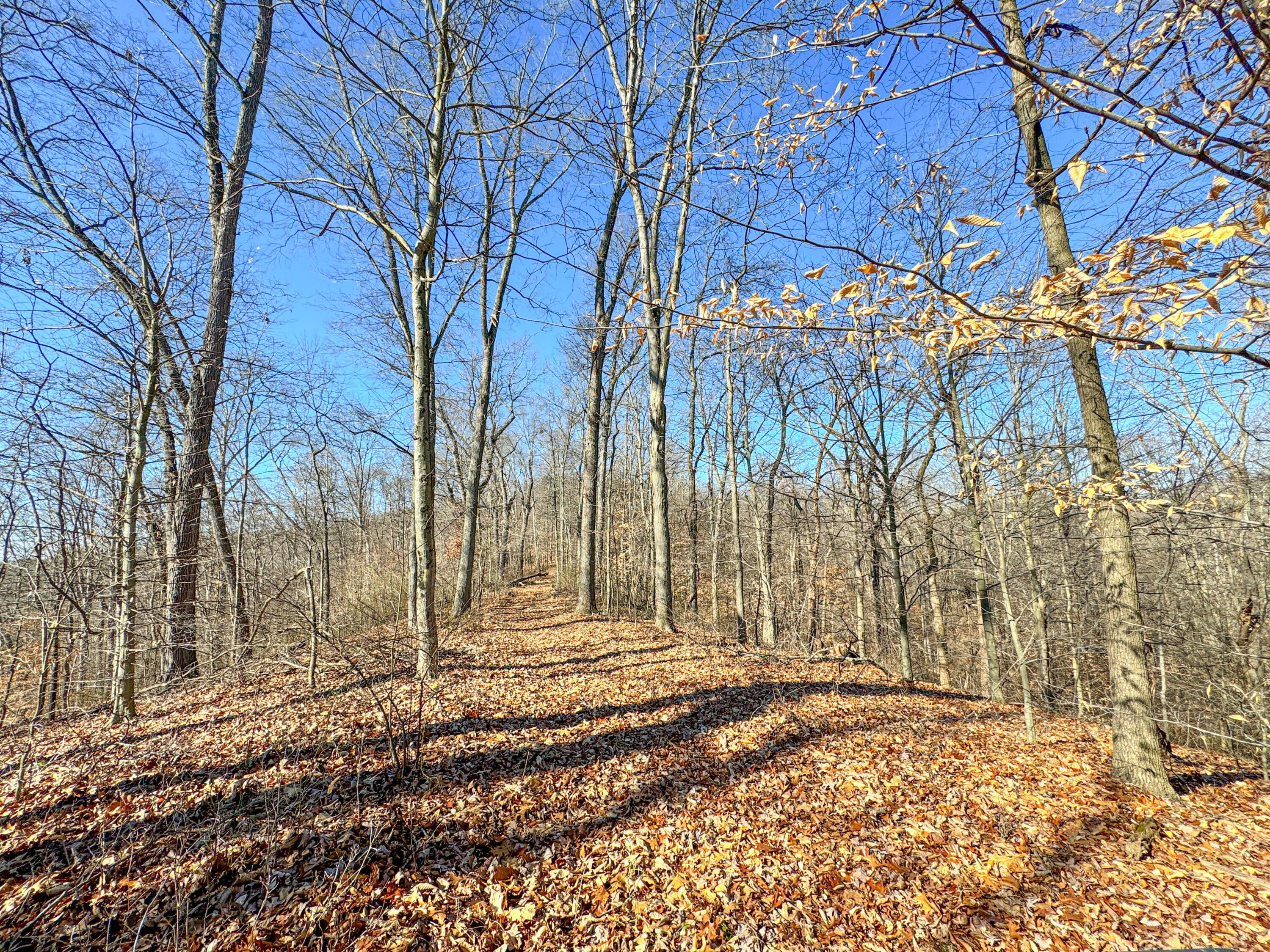 15779 Cox Road Logan, OH 43138 - Photo 59 of 68 Cox Rd-58