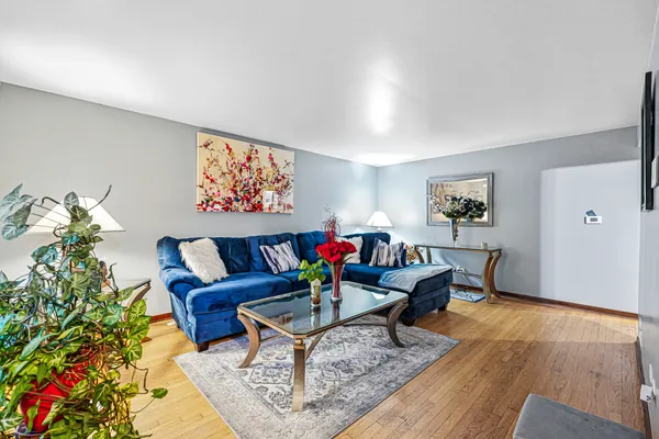 a living room with furniture and a potted plant