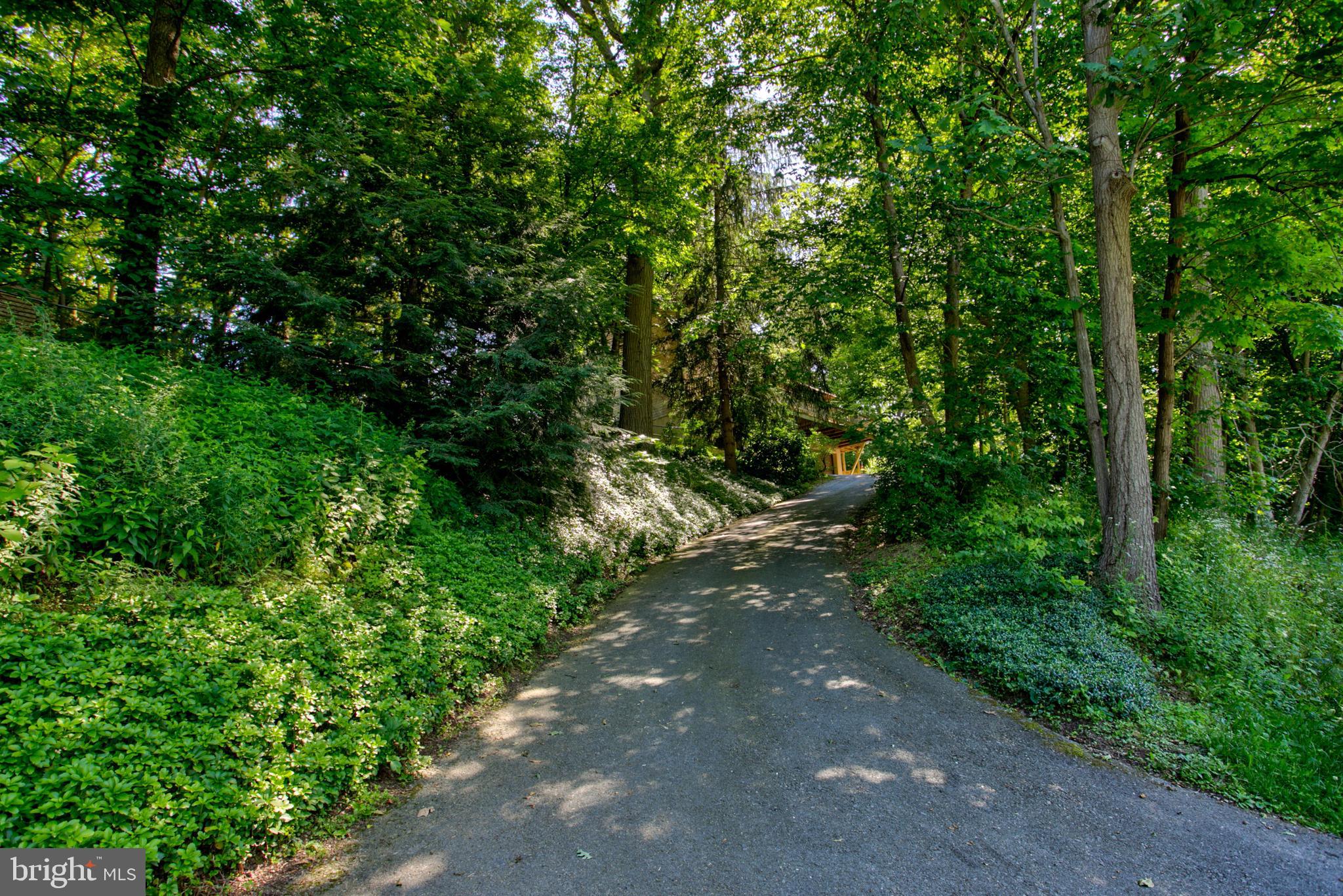 3091 Back Run Road Manheim, PA 17545 - Photo 1 of 40 Your private stairway to heaven.