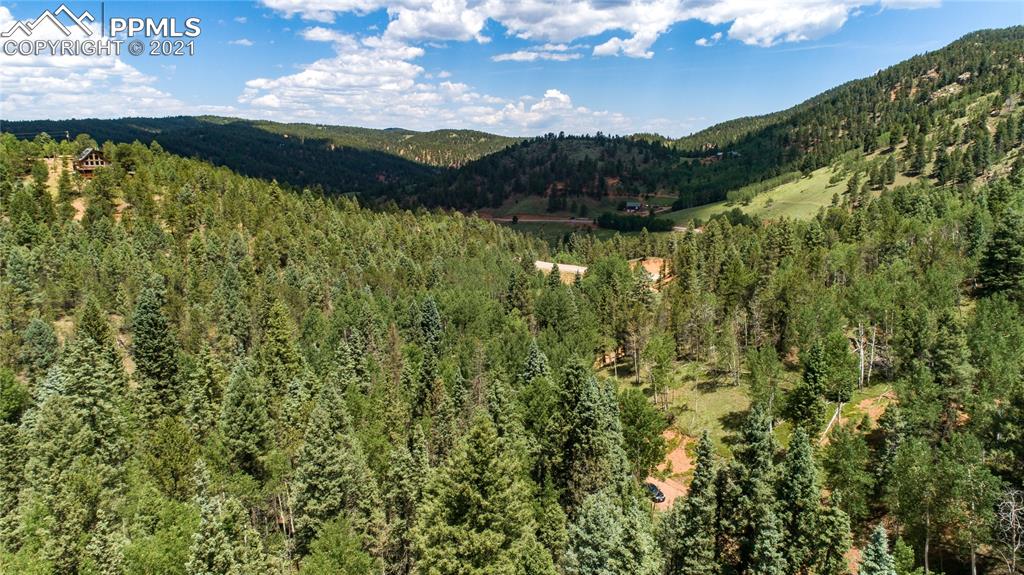 124 Kernite Lane Divide, CO 80814 - Photo 4 of 6 a view of an outdoor space and a yard