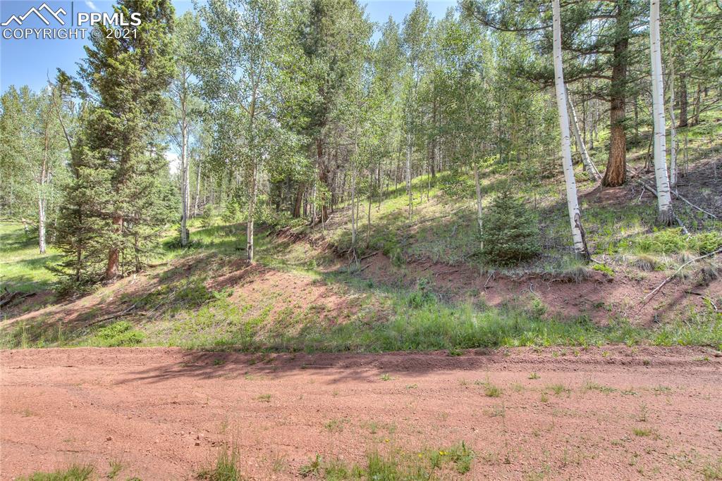 124 Kernite Lane Divide, CO 80814 - Photo 5 of 6