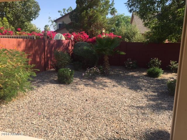 3113 East Wagoner Road Phoenix, AZ 85032 - Photo 31 of 33 IMG_3568