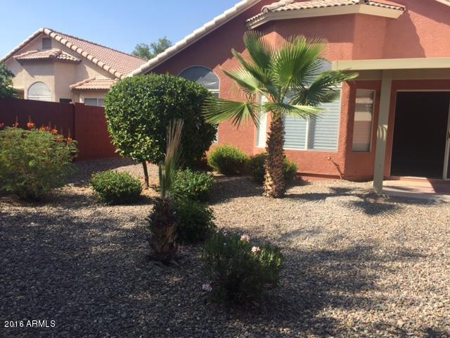 3113 East Wagoner Road Phoenix, AZ 85032 - Photo 33 of 33 IMG_3572