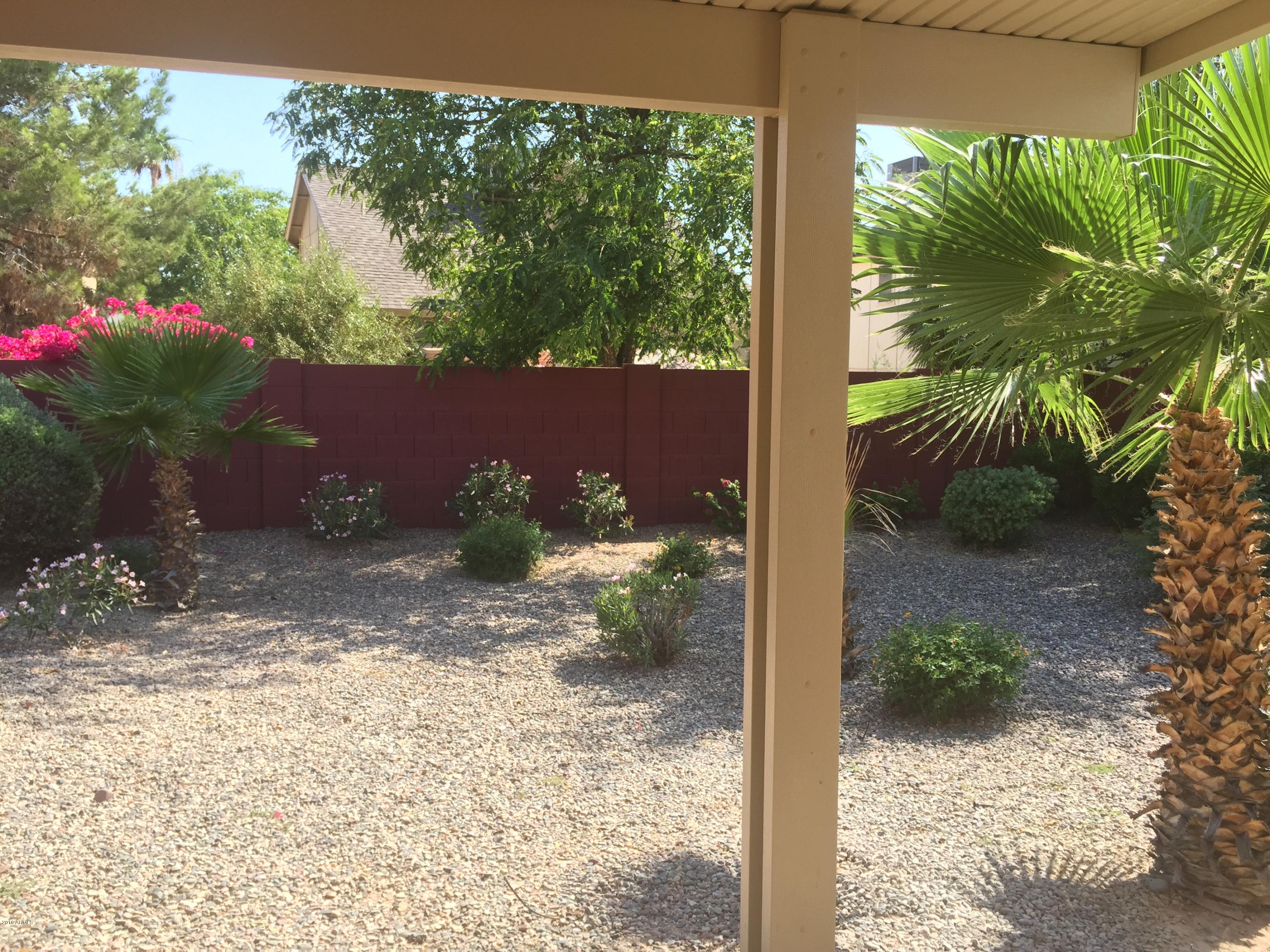 3113 East Wagoner Road Phoenix, AZ 85032 - Photo 8 of 33 IMG_7091