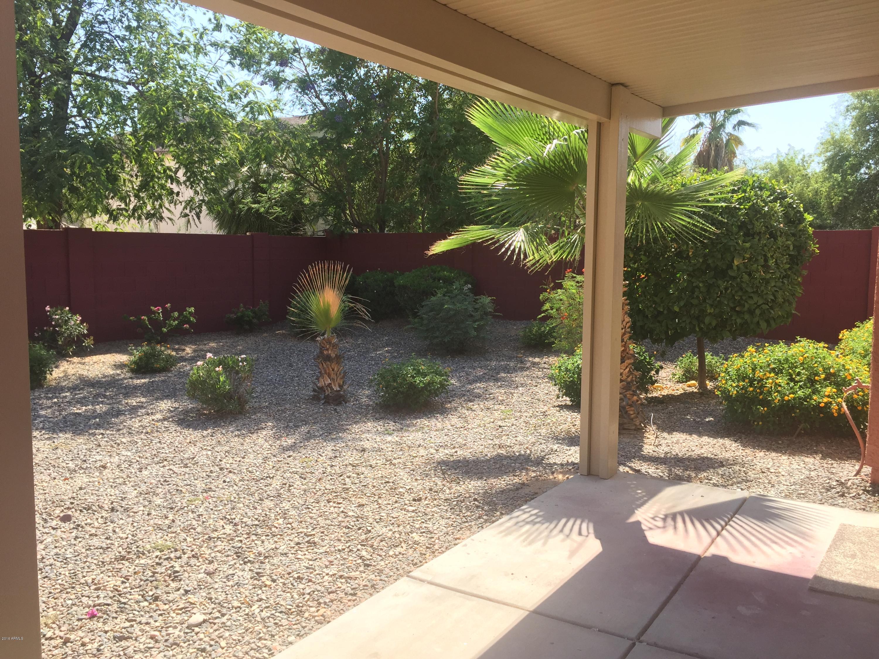 3113 East Wagoner Road Phoenix, AZ 85032 - Photo 10 of 33 IMG_7094
