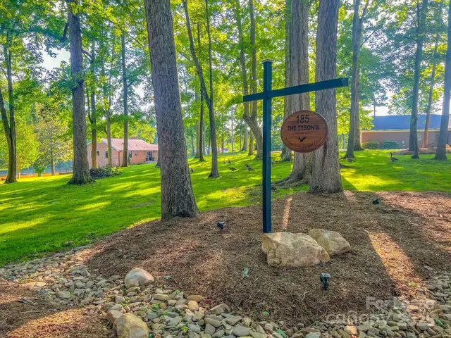 a view of a park with large trees