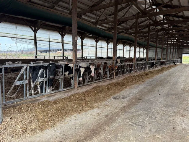 $2,100,000 | N5271 Madden Road, New London, WI 54961