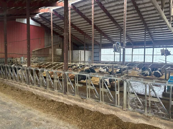 $2,100,000 | N5271 Madden Road, New London, WI 54961